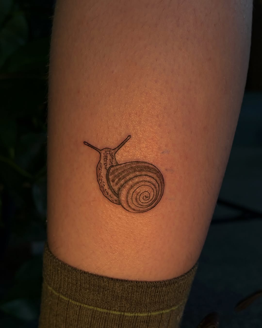 Tattoo by @done_by_dani222 — fine_line, realism