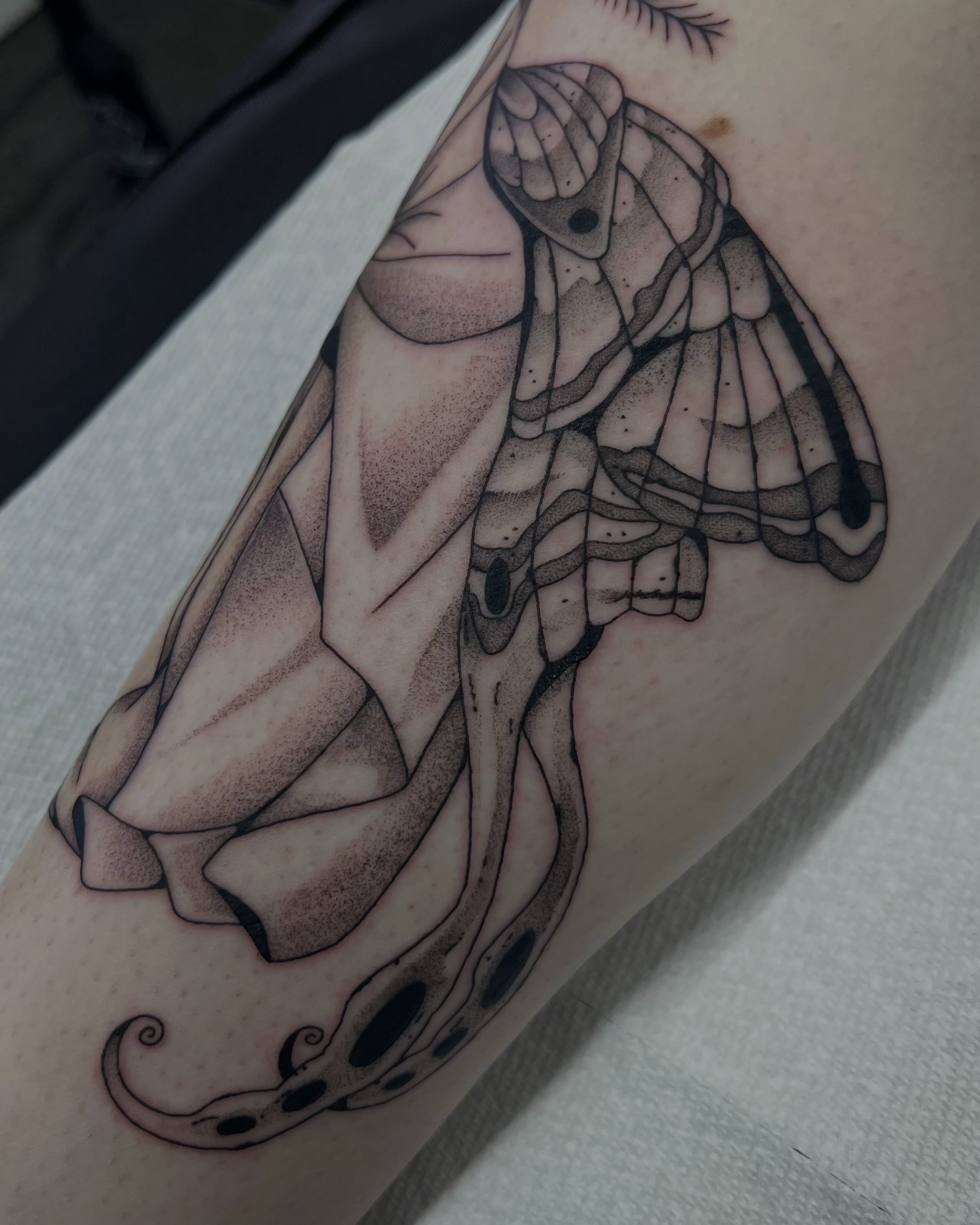 Tattoo by @onionrot — dotwork, black_and_grey