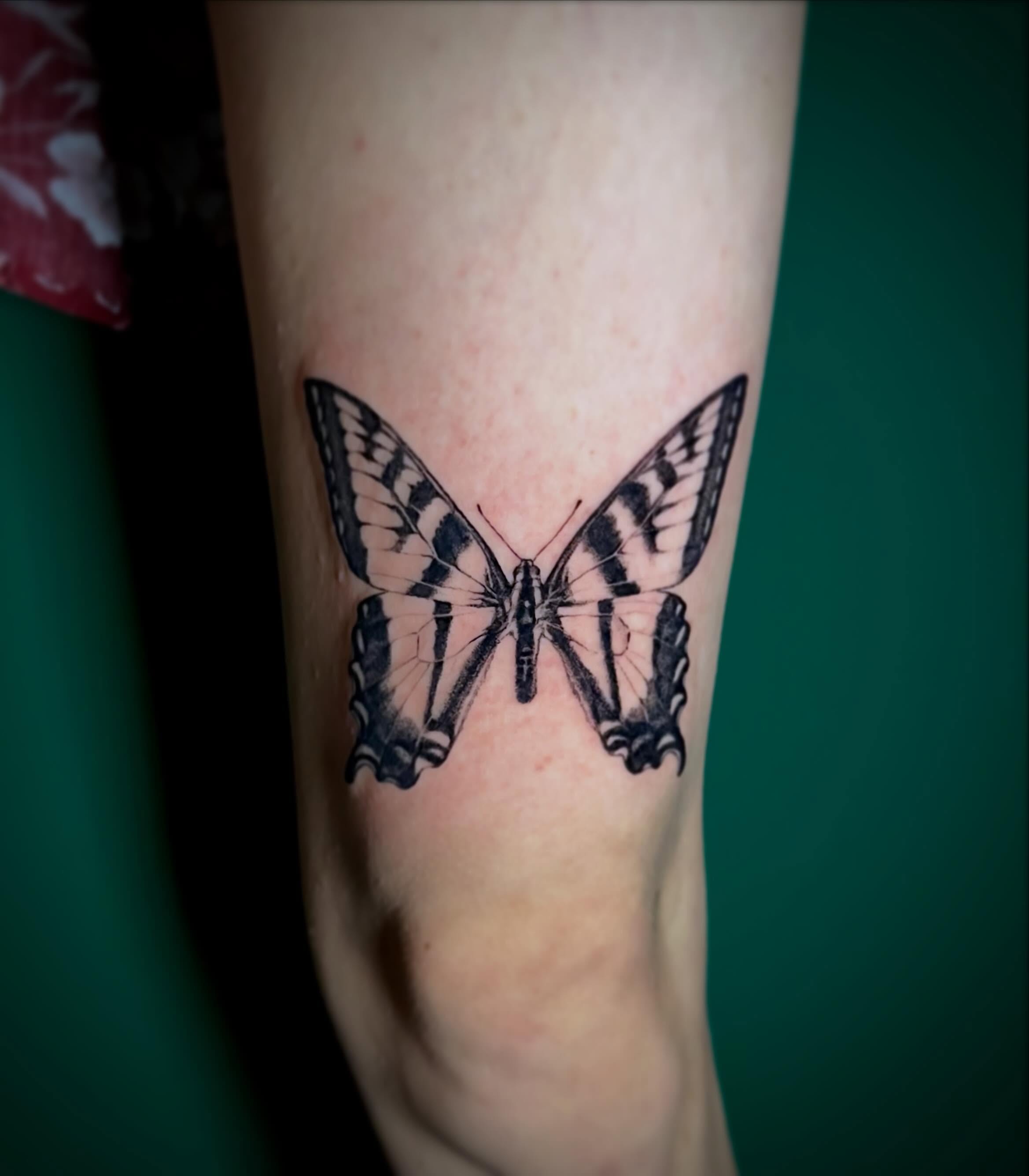 Butterfly black and grey tattoo on the forearm by Nick de Hoyos