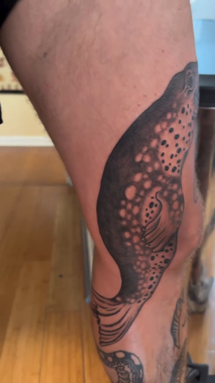 Seal tattoo on leg fine line tattoo on the leg by Tony Beuke
