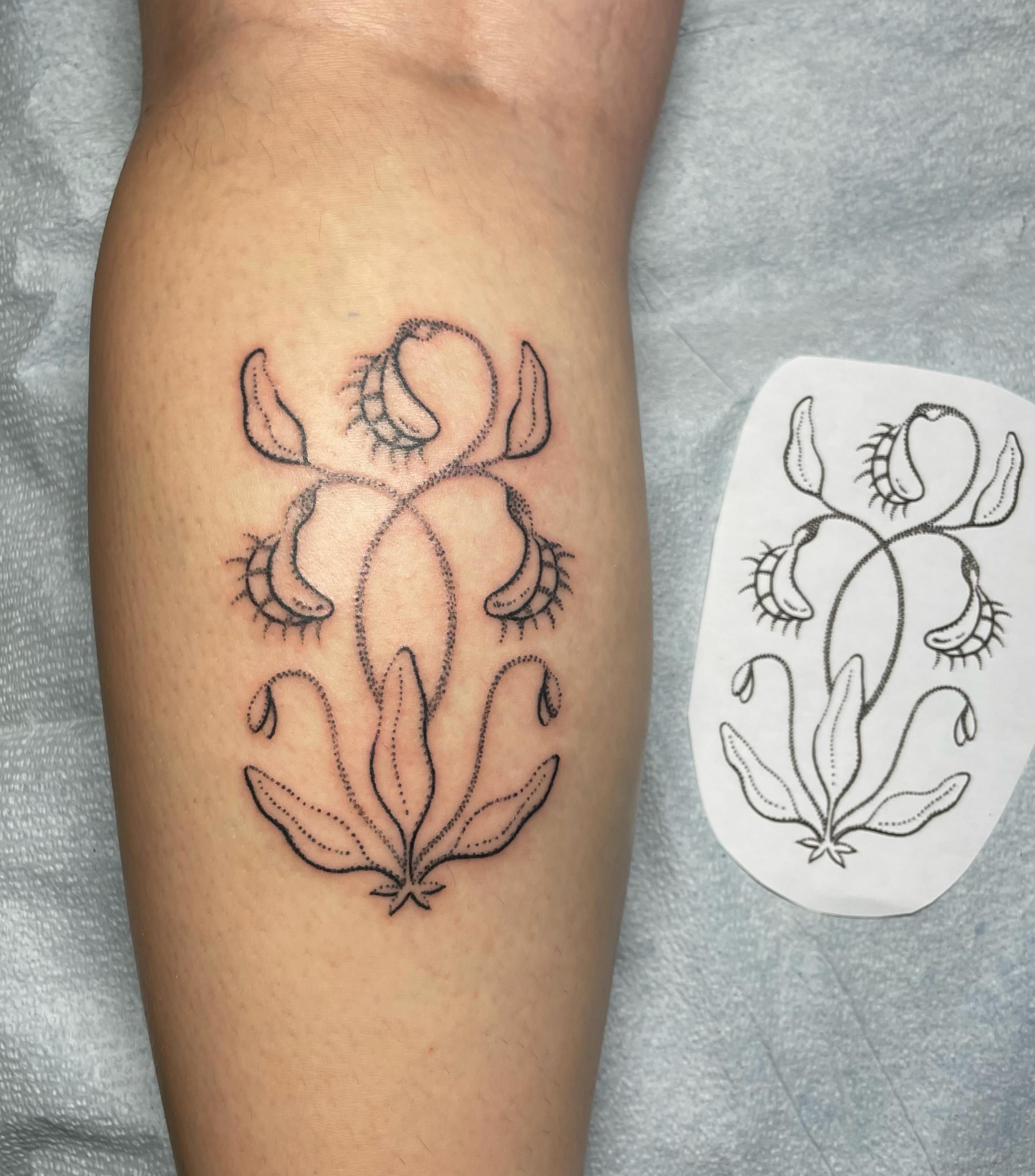 Venus flytrap dotwork tattoo on the forearm by Quin