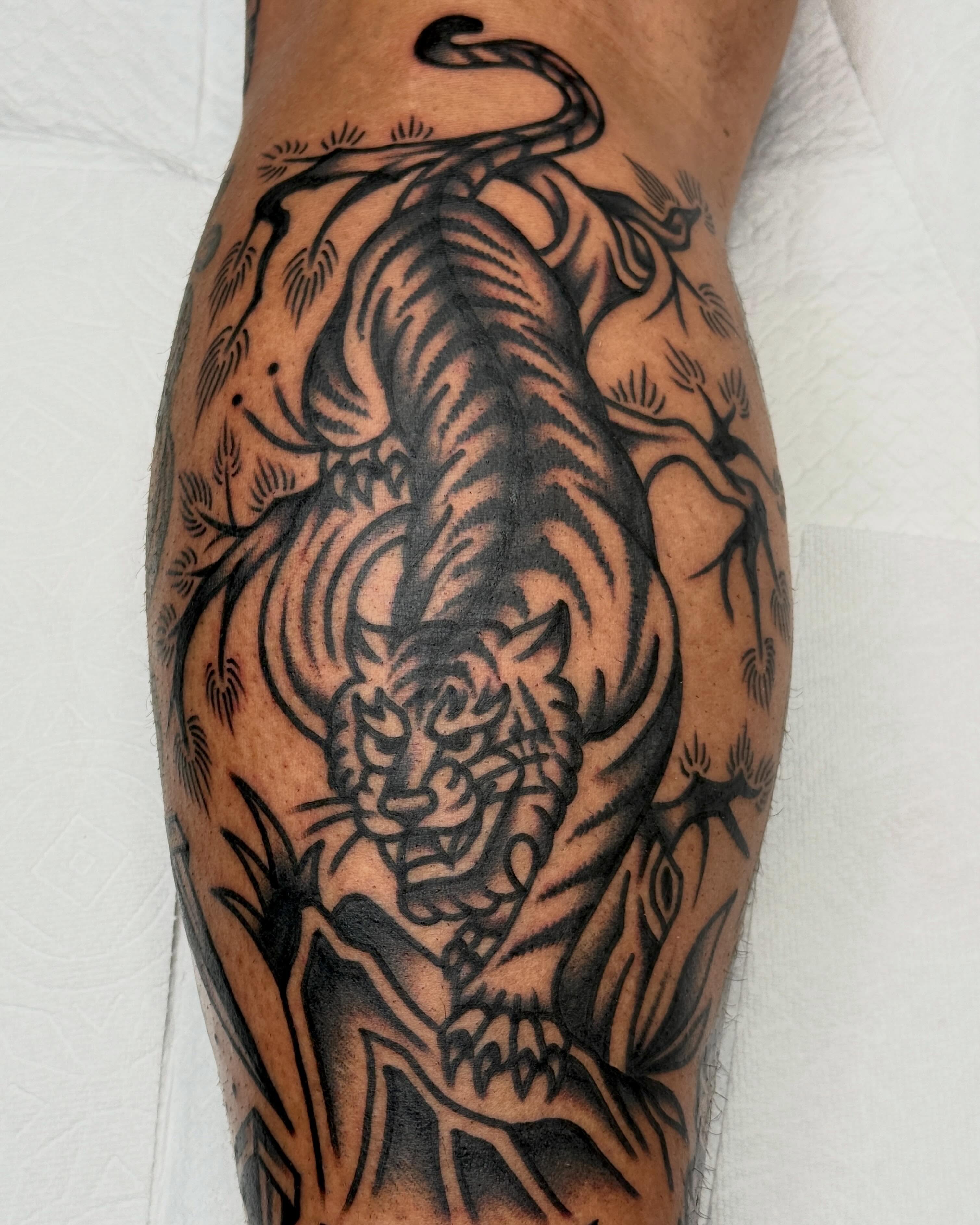 Tiger American traditional tattoo on the forearm by 올드스쿨타투 블랙스쿨타투 부천타투 알로