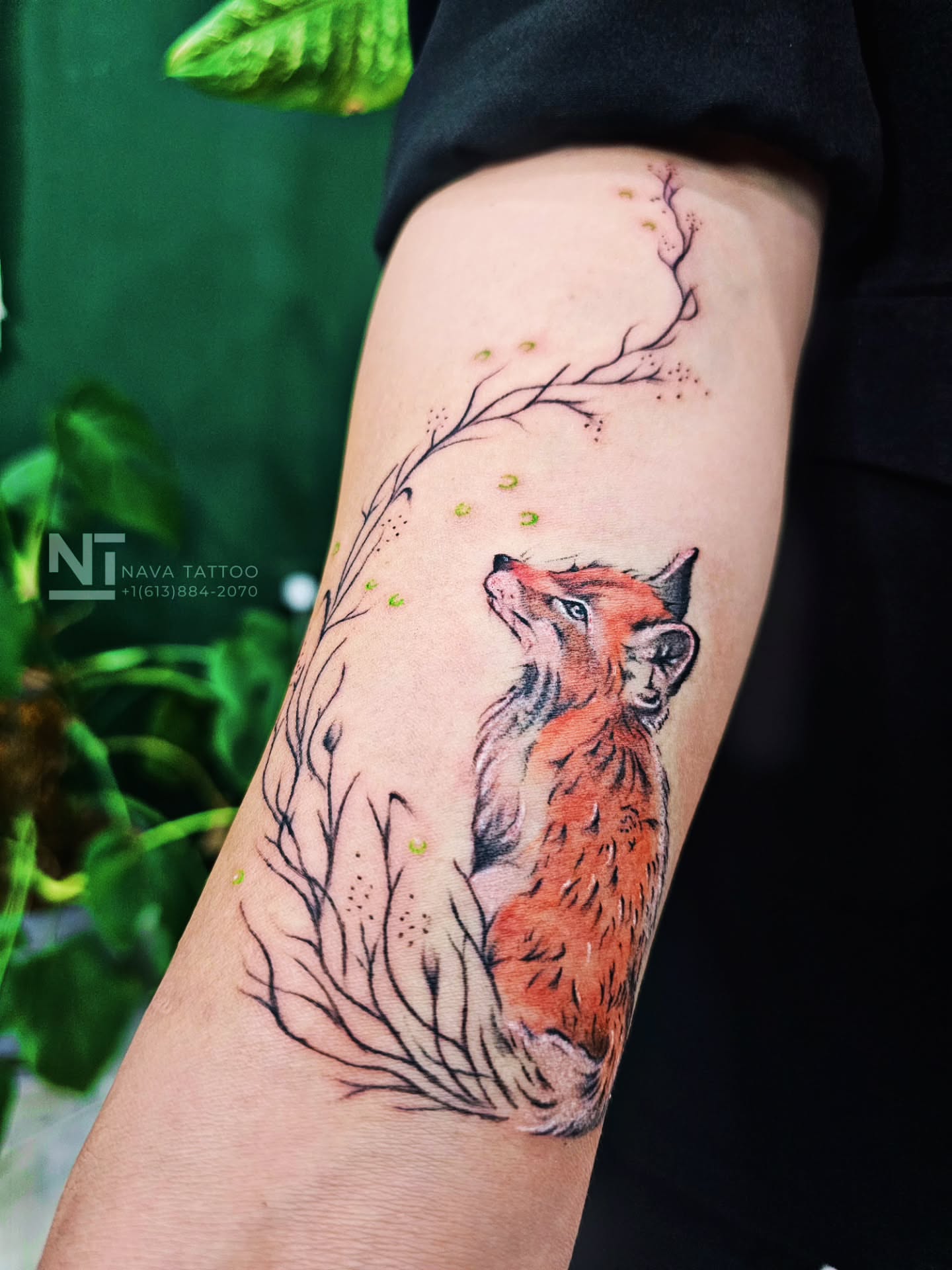 Tattoo by @navatattooo — realism