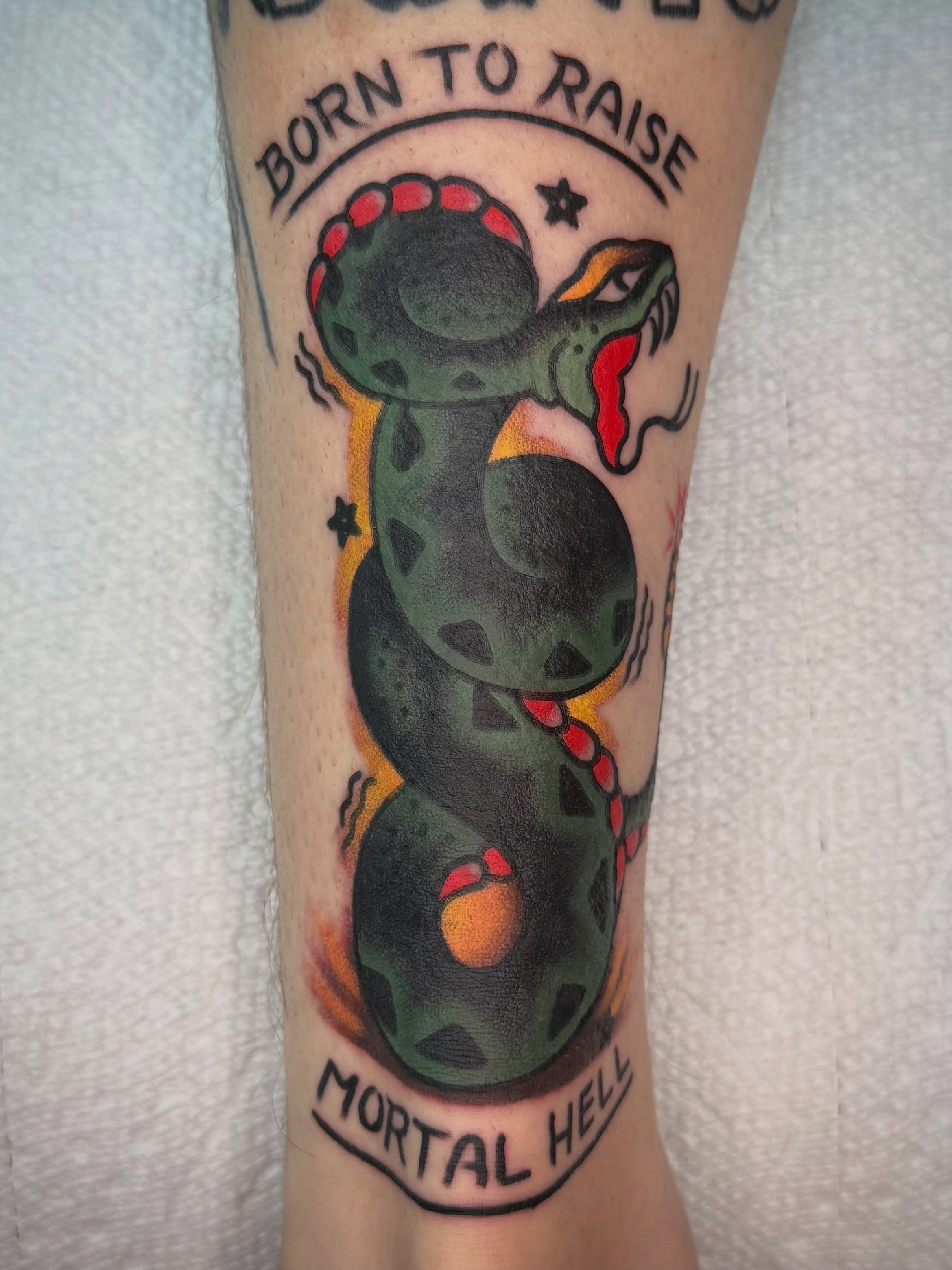Snake American traditional tattoo on the forearm by Maximilian Harrison