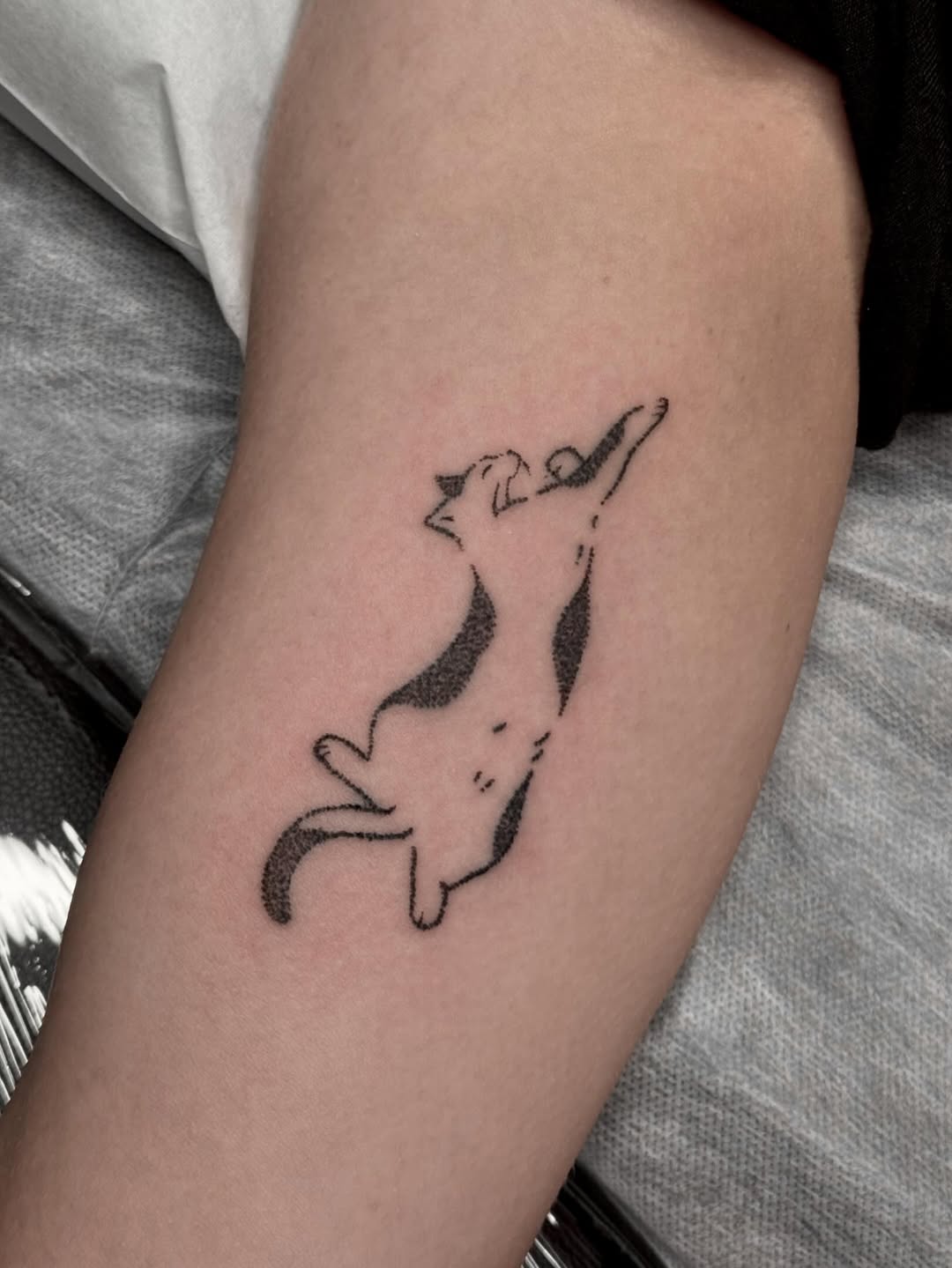 Playful cat realism tattoo on the forearm by πΏππΌππ πππππππ