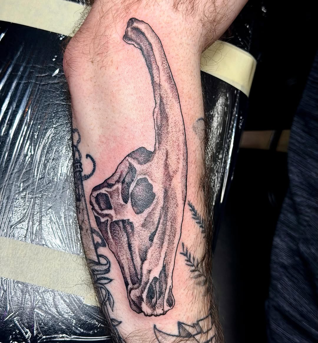 Cow skull black and grey tattoo on the forearm by Emily
