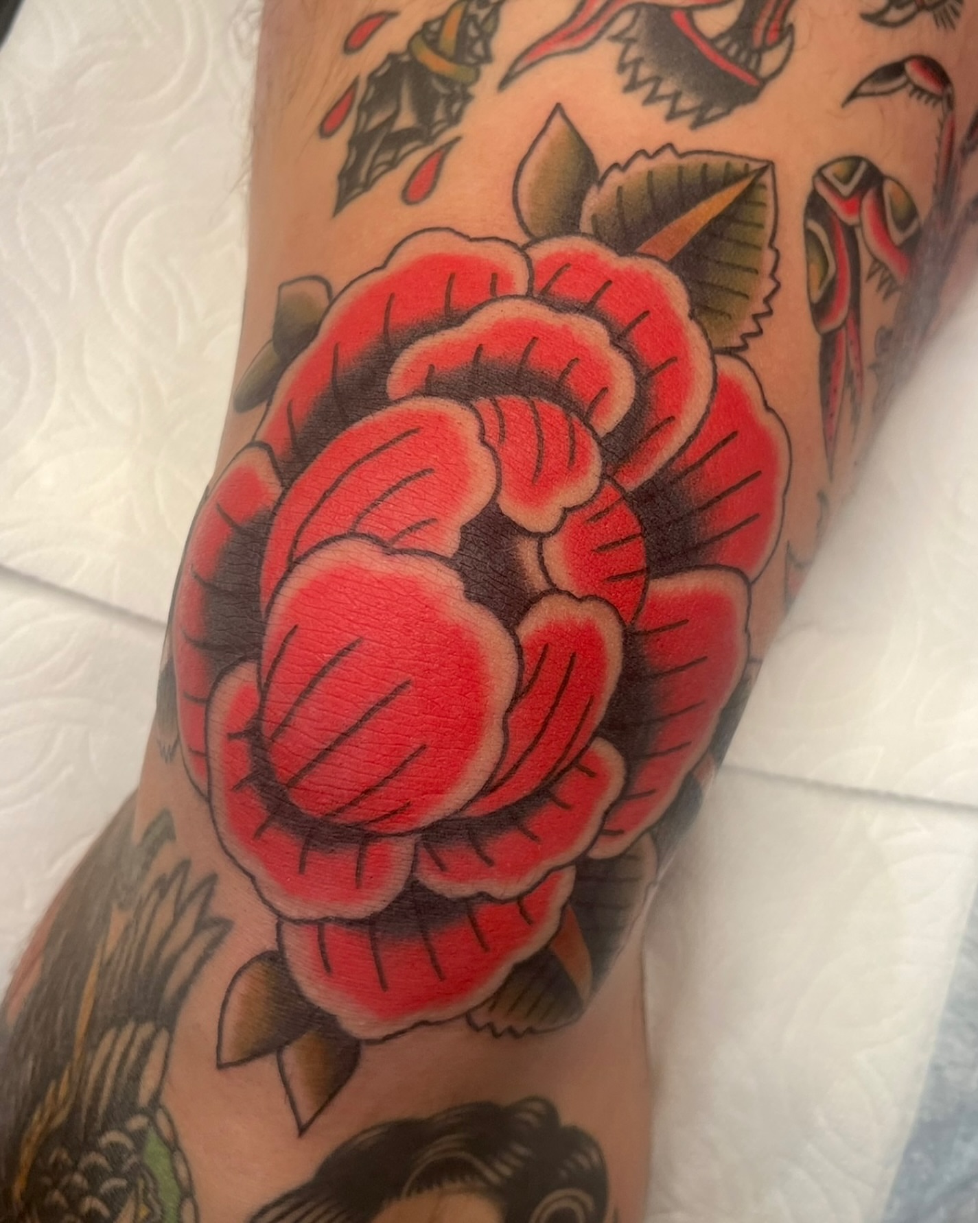 Red rose American traditional tattoo on the forearm by Tiffani Thompson, San Diego, California