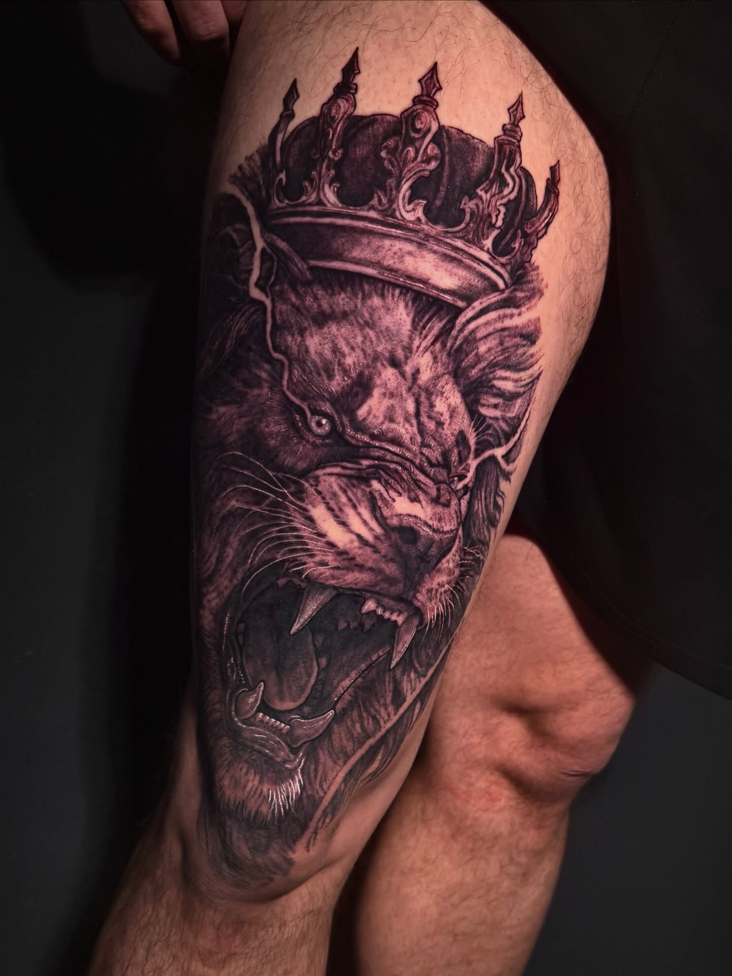 Lion with crown realism tattoo on the thigh by Noah A Rasmus