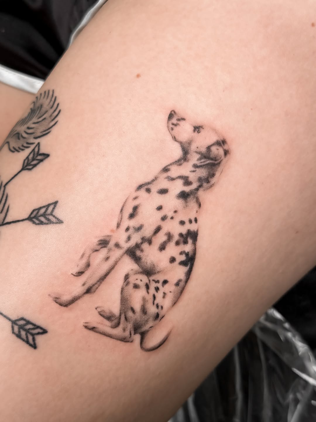 Tattoo by @ryleecooktattoo — realism, black_and_grey
