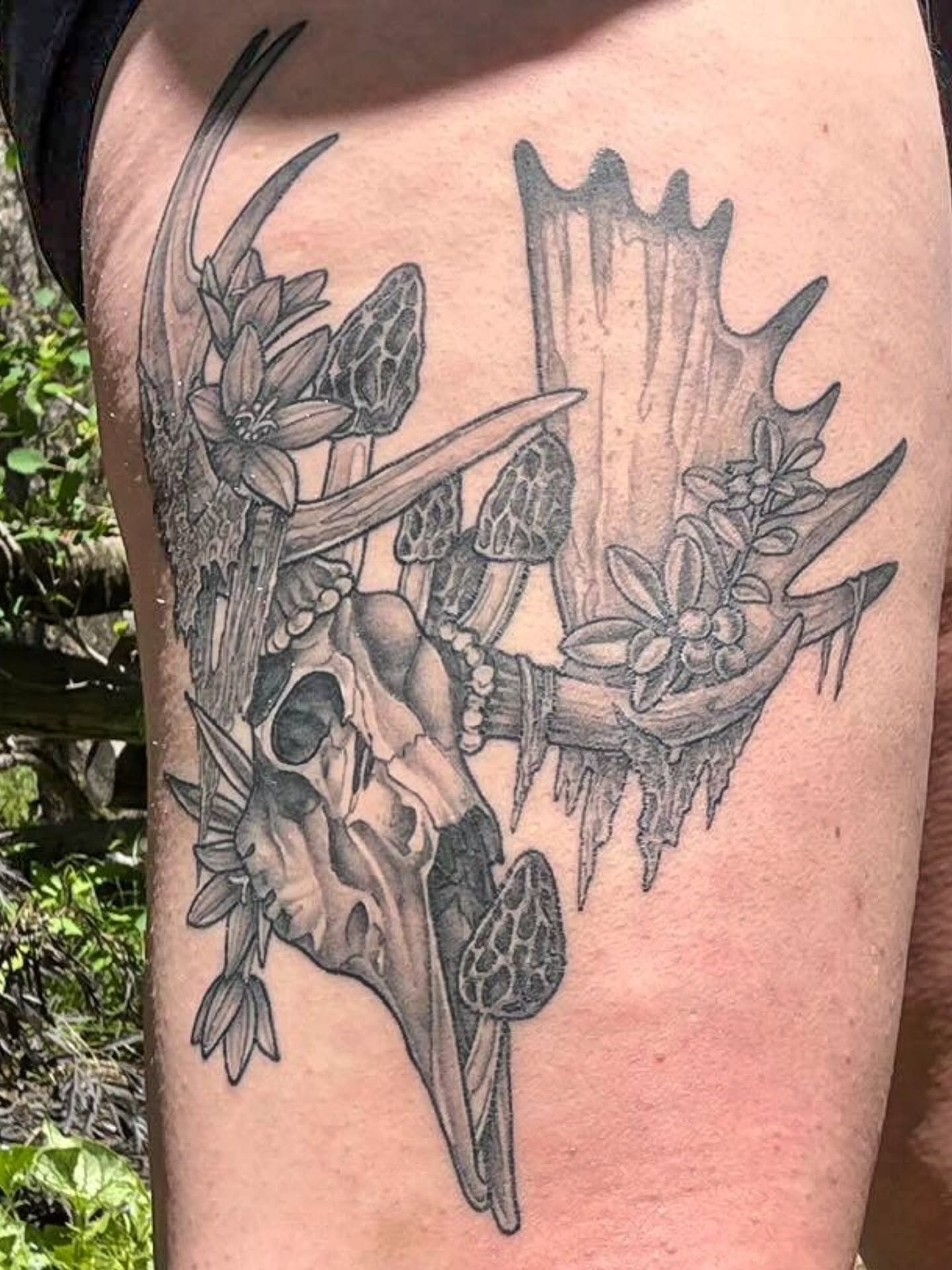 Tattoo by @plaidbear_designco — black_and_grey, realism