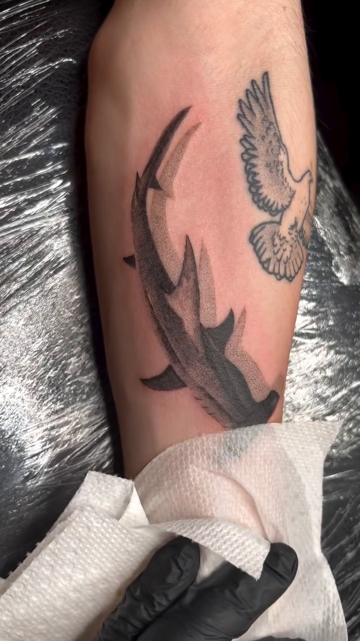 Hammerhead shark and dove fine line tattoo on the forearm by Aaron Strobehn