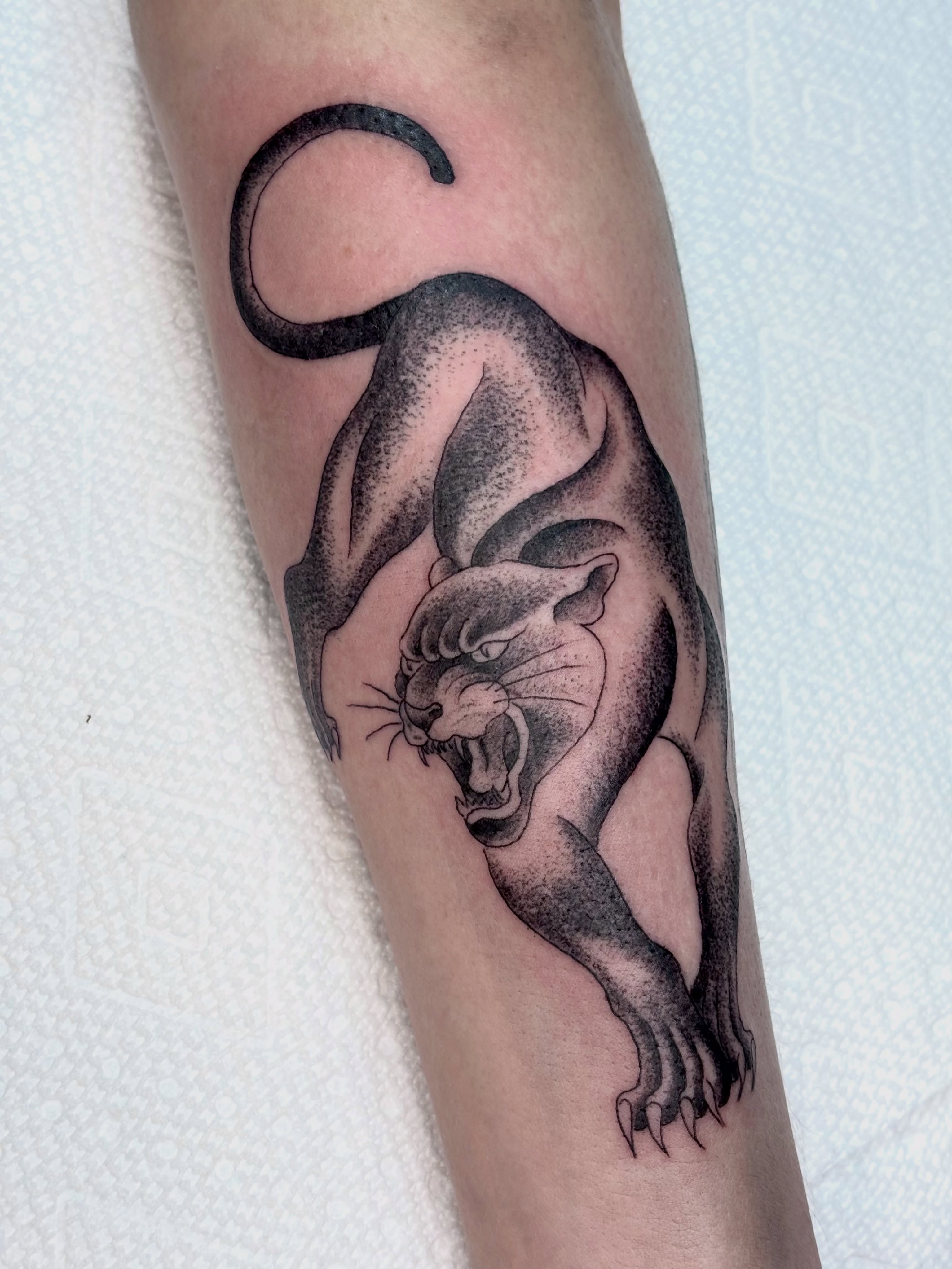 Panther dotwork tattoo on the forearm by ★ ★ ★ Matt Reinstone ★ ★ ★