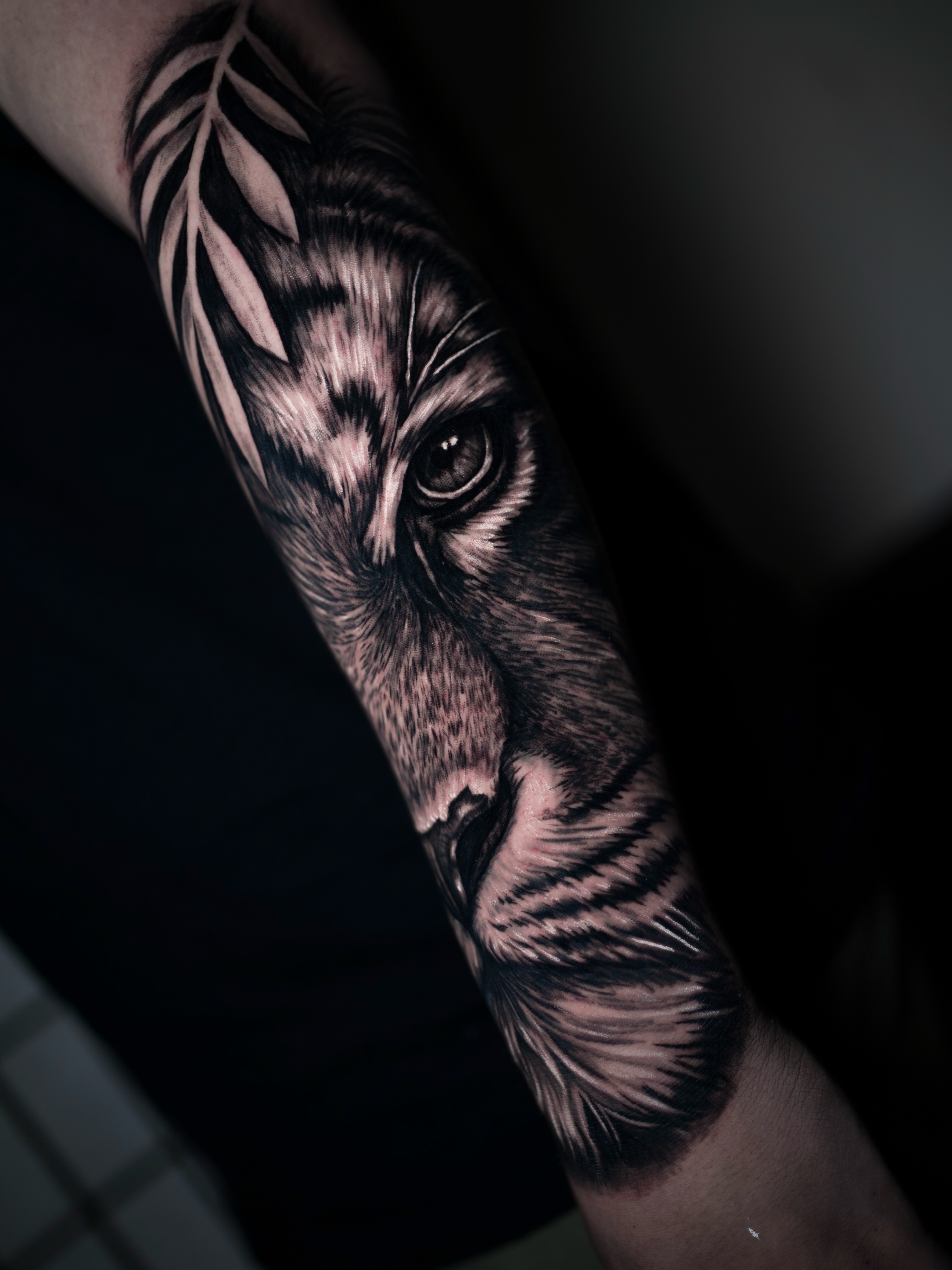 Lion realism tattoo on the forearm by Juan David Arias