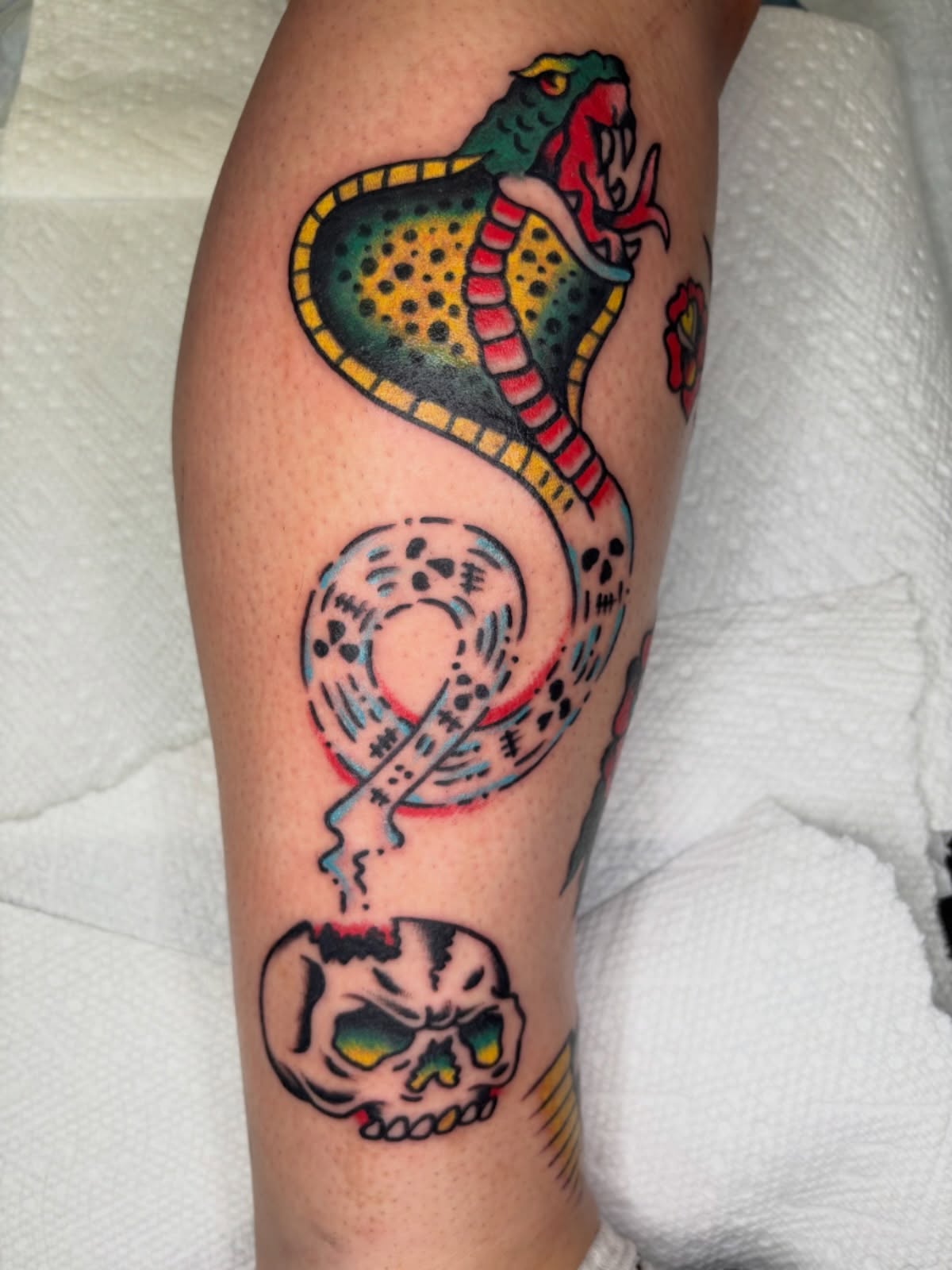 Snake and skull American traditional tattoo on the forearm by Cooper Reichwein