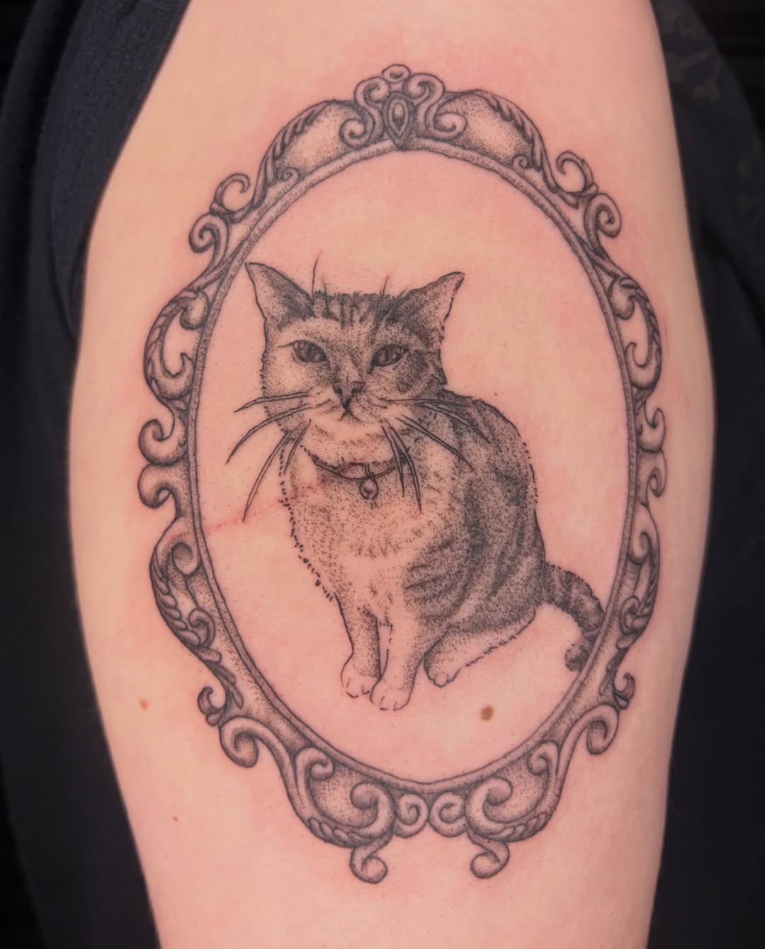 Cat dotwork tattoo on the forearm by san diego tattoo artist ✩, San Diego, California