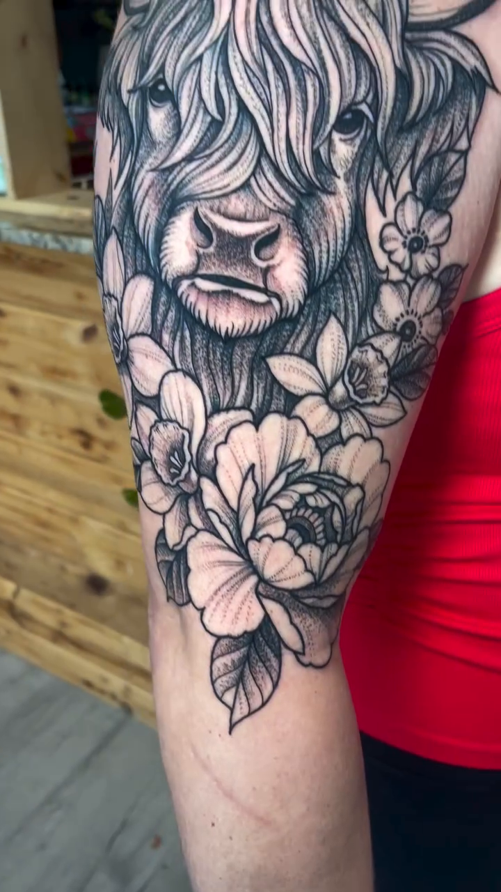 Highland cow with flowers realism tattoo by Dev Z