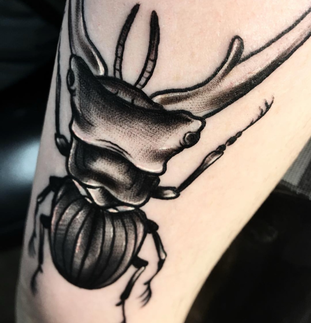 Rhinoceros beetle realism tattoo on the forearm by Brandon Harrison, Kansas City, Missouri