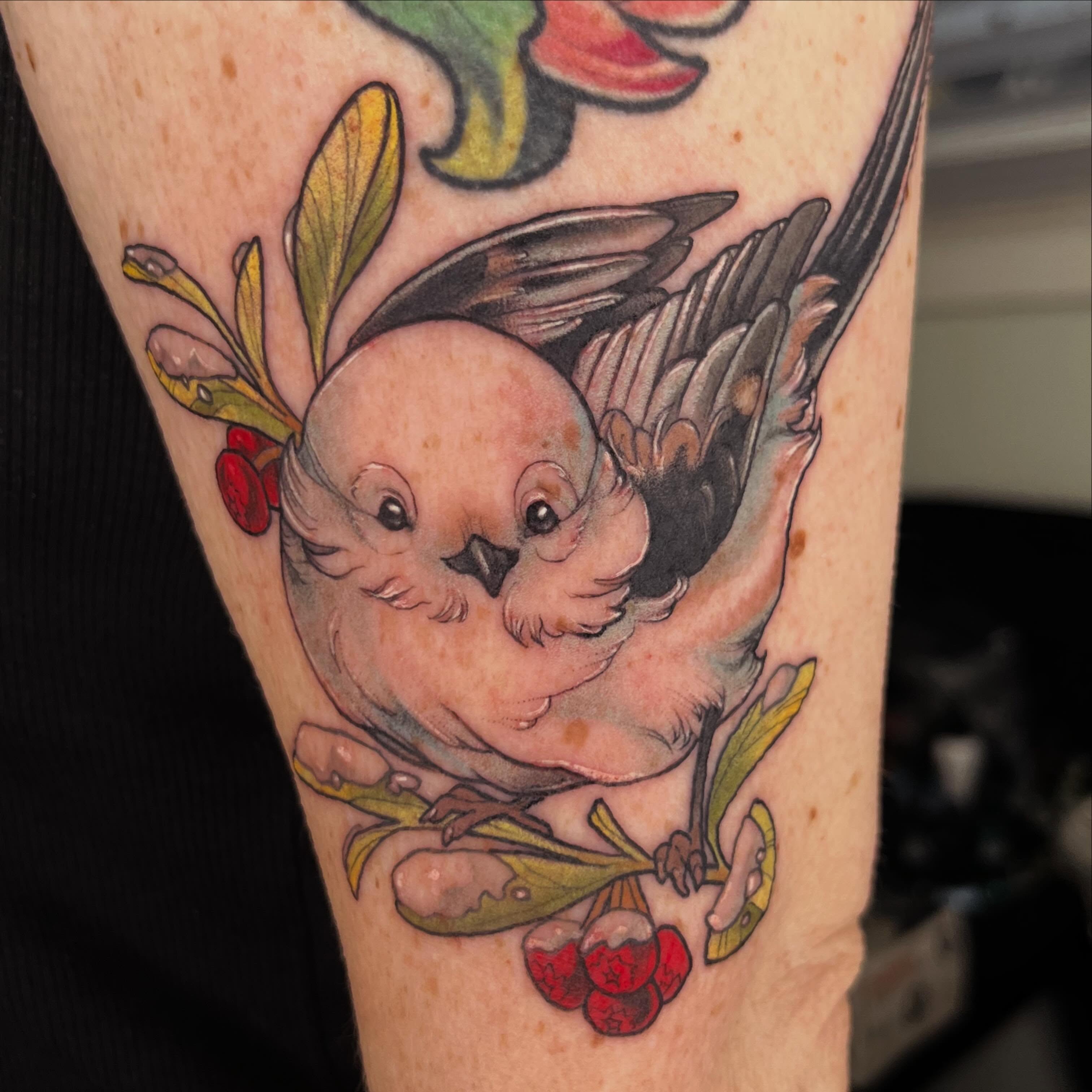Bird and berries American traditional tattoo on the forearm by Cassandra