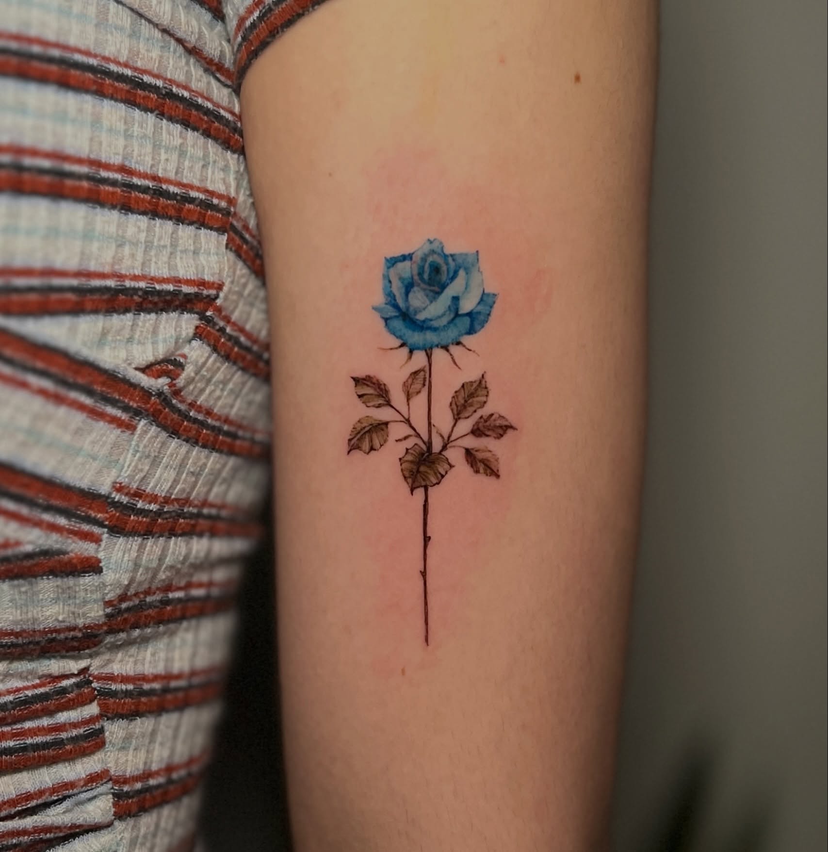 Blue rose realism tattoo on the forearm by Eleana, North Miami, Florida