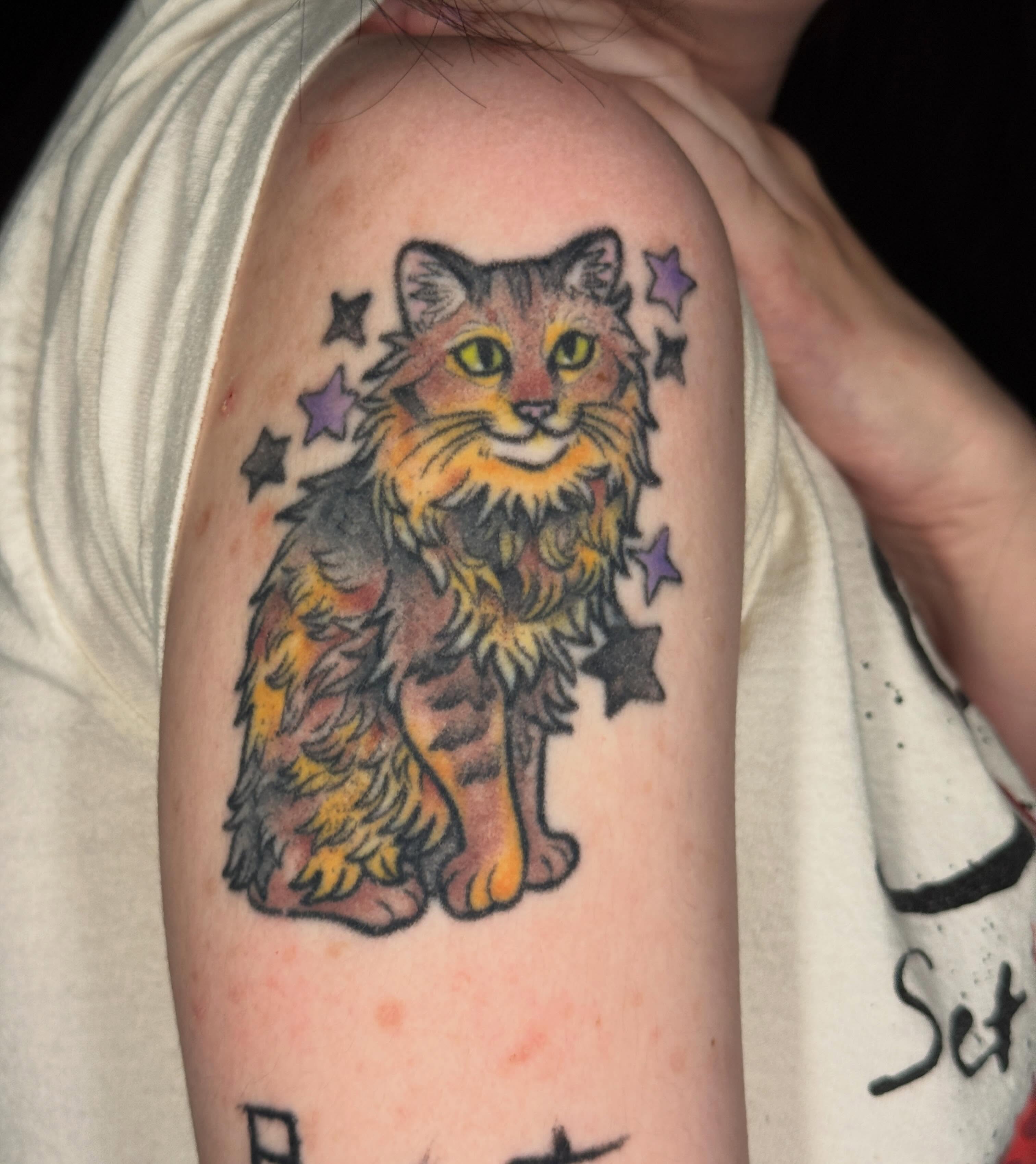 Cat realism tattoo on the upper arm by liam u. williams