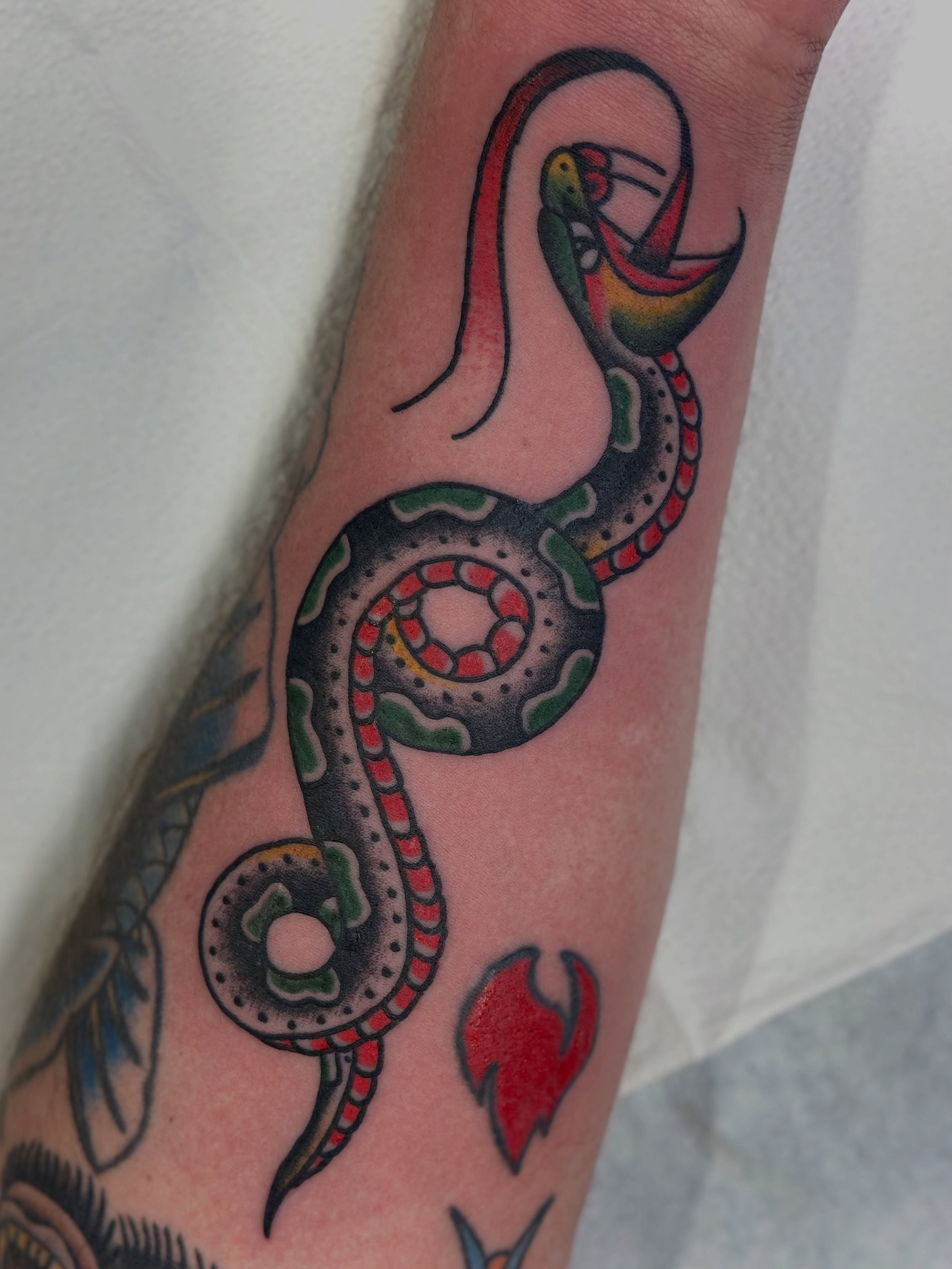 Snake American traditional tattoo on the forearm by Aaron ulfstam
