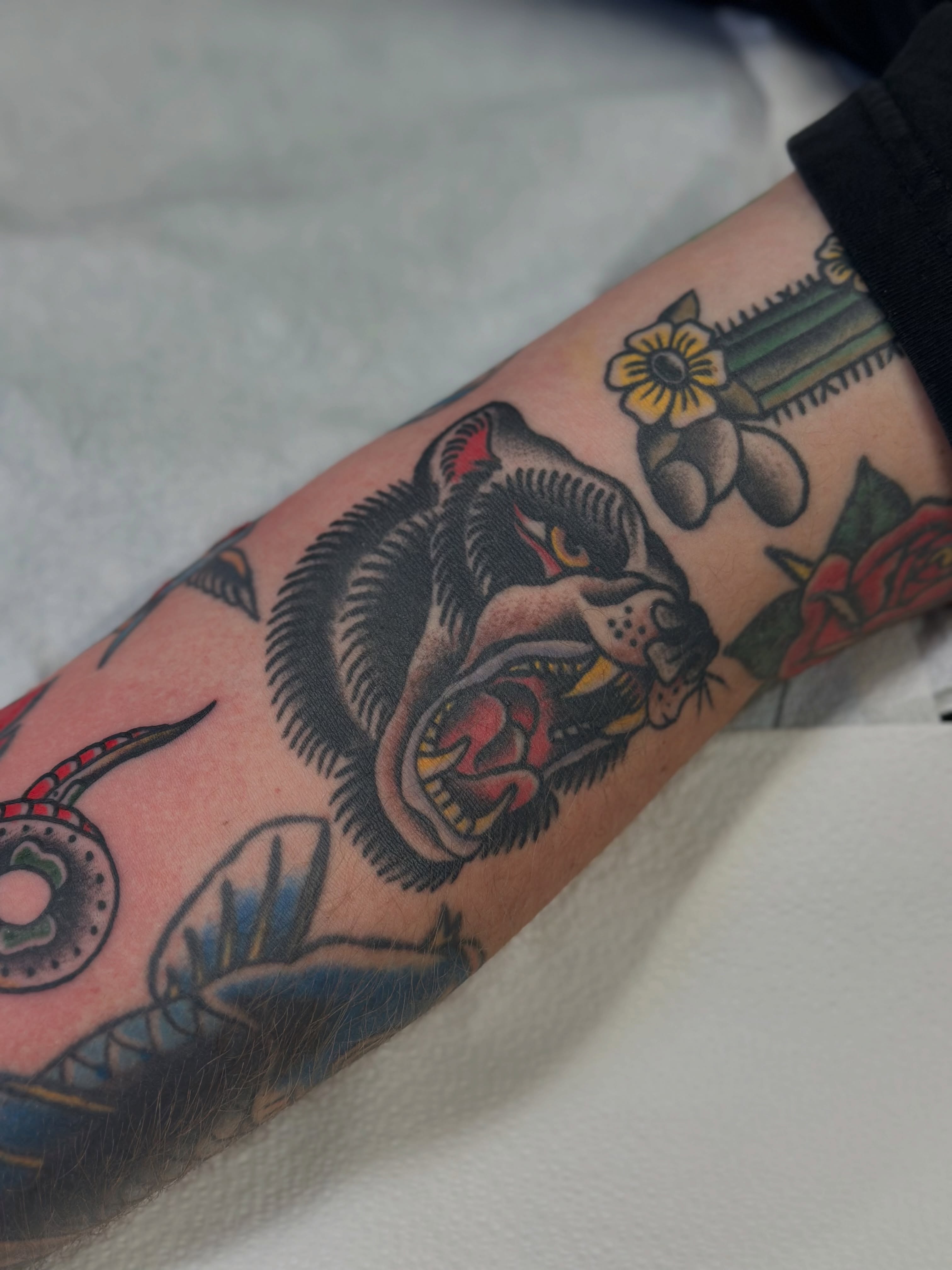 Panther American traditional tattoo on the forearm by Aaron ulfstam