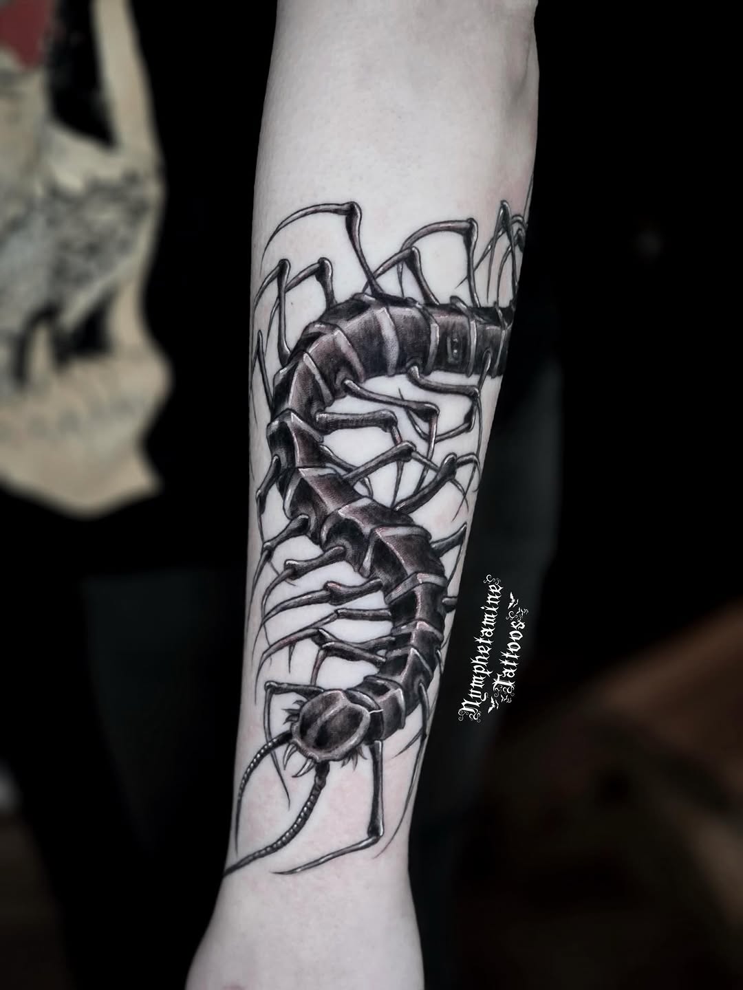 Centipede dark art tattoo on the forearm by ๐ธ๐๐๐๐๐๐๐๐