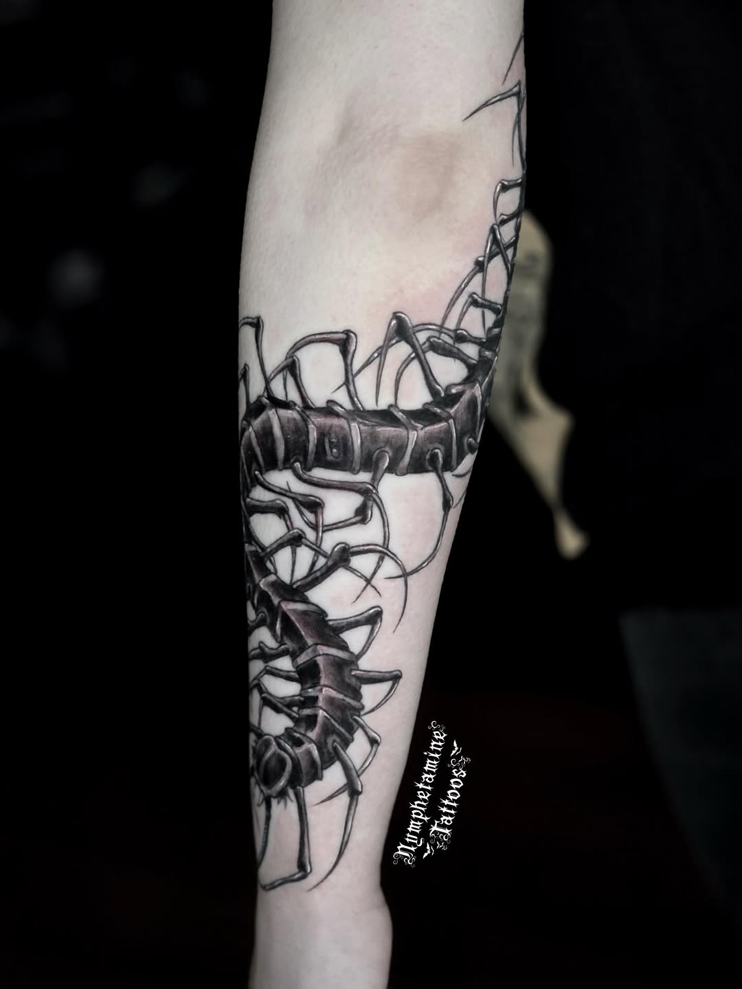 Centipede tattoo on the forearm by ๐ธ๐๐๐๐๐๐๐๐