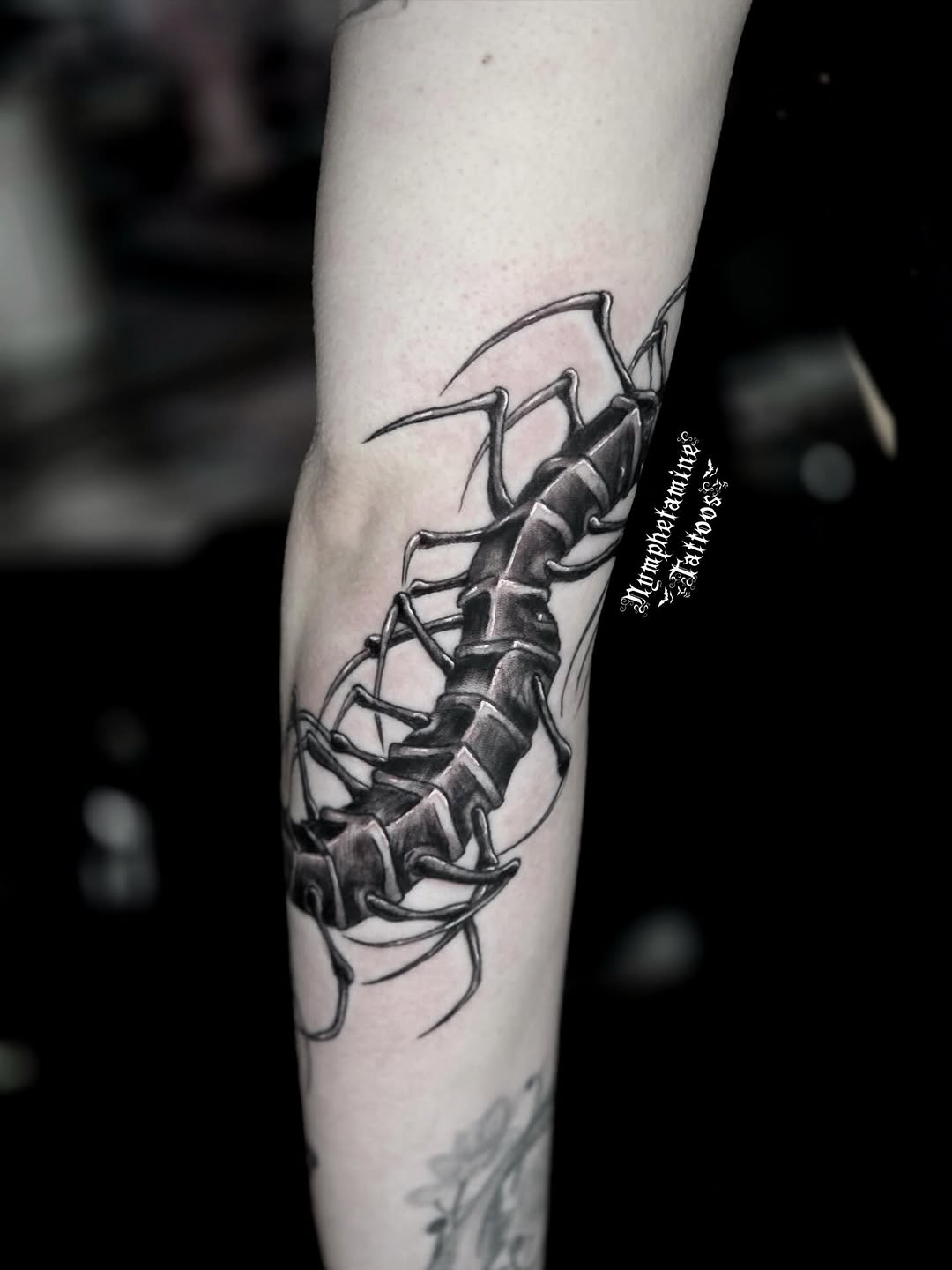 Centipede dark art tattoo on the forearm by ๐ธ๐๐๐๐๐๐๐๐