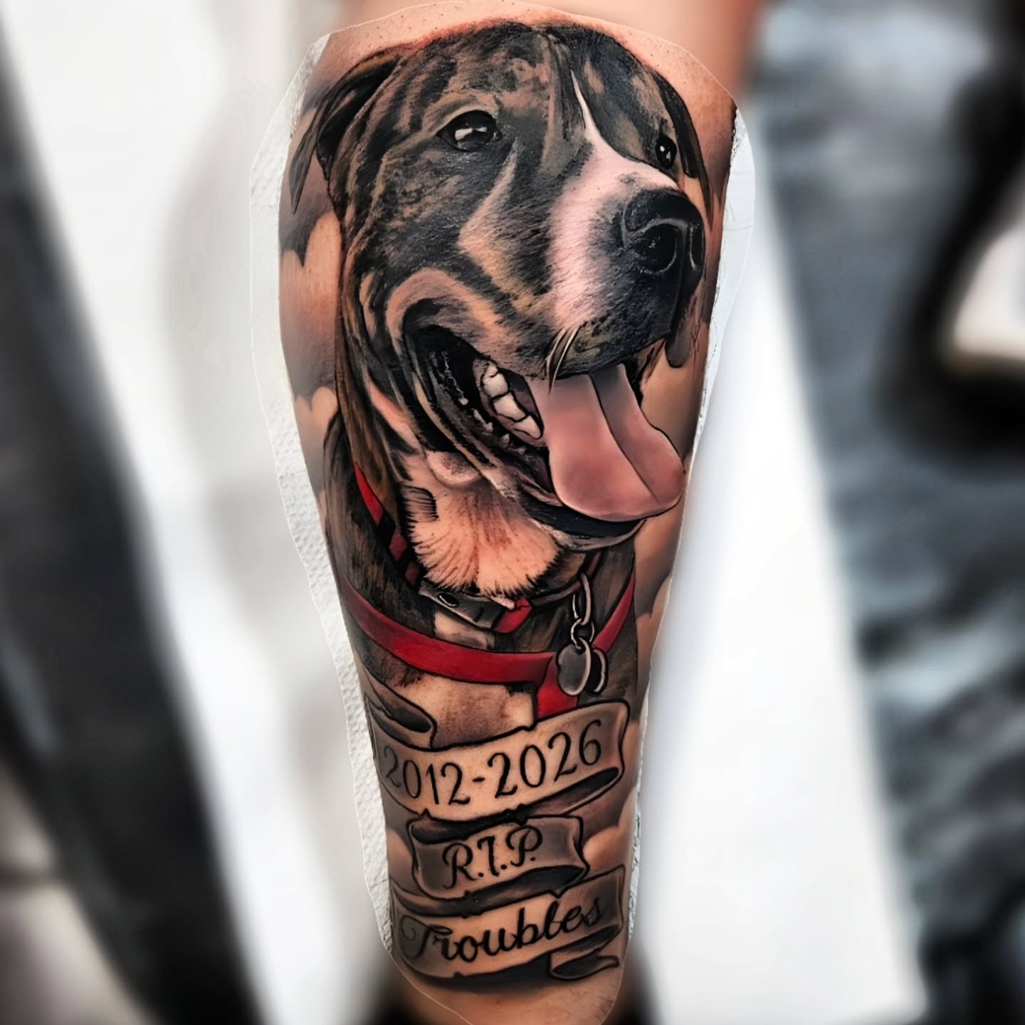 Dog realism tattoo on the forearm by "El Jose" Tattoo