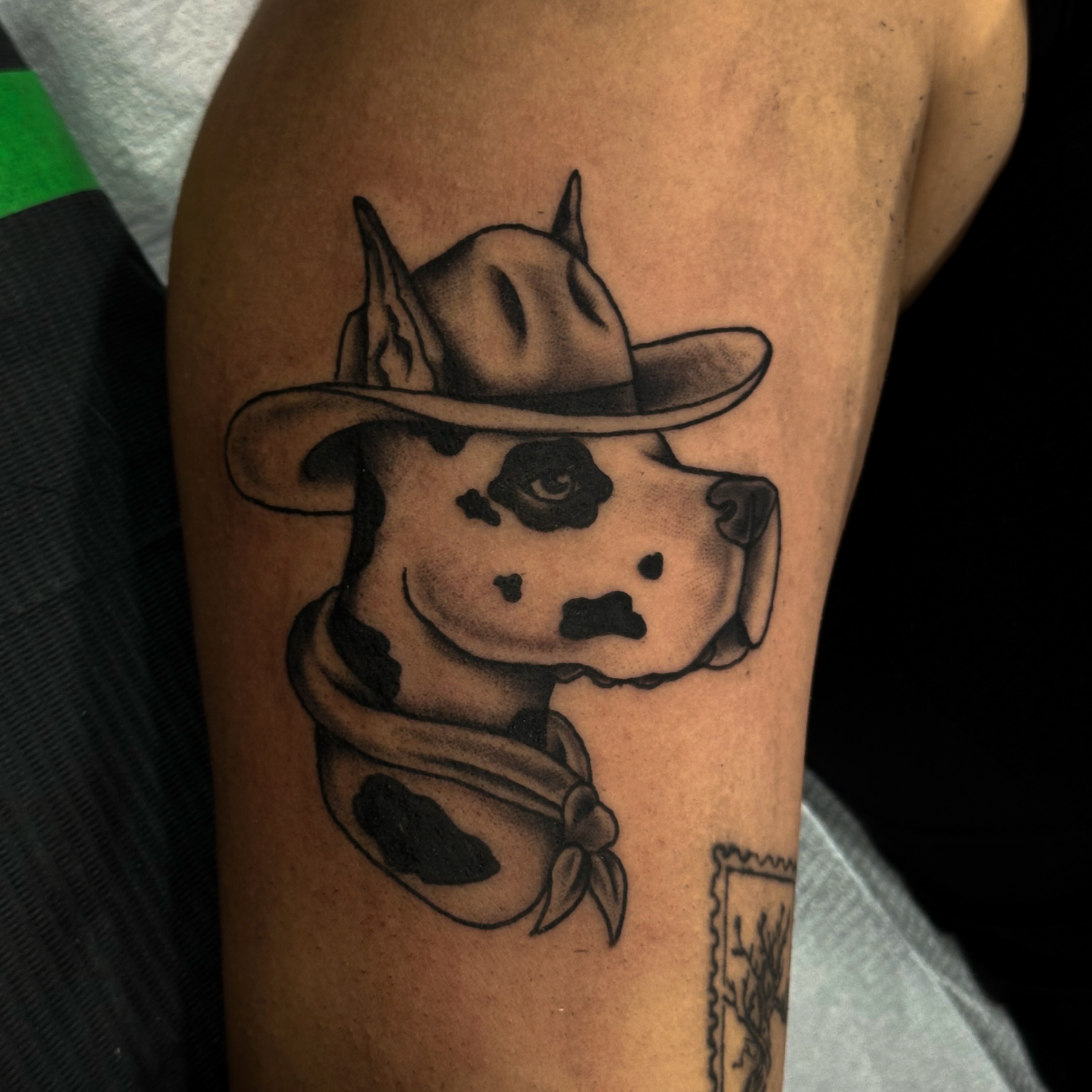 Cow wearing hat black and grey tattoo on the forearm by Victoria