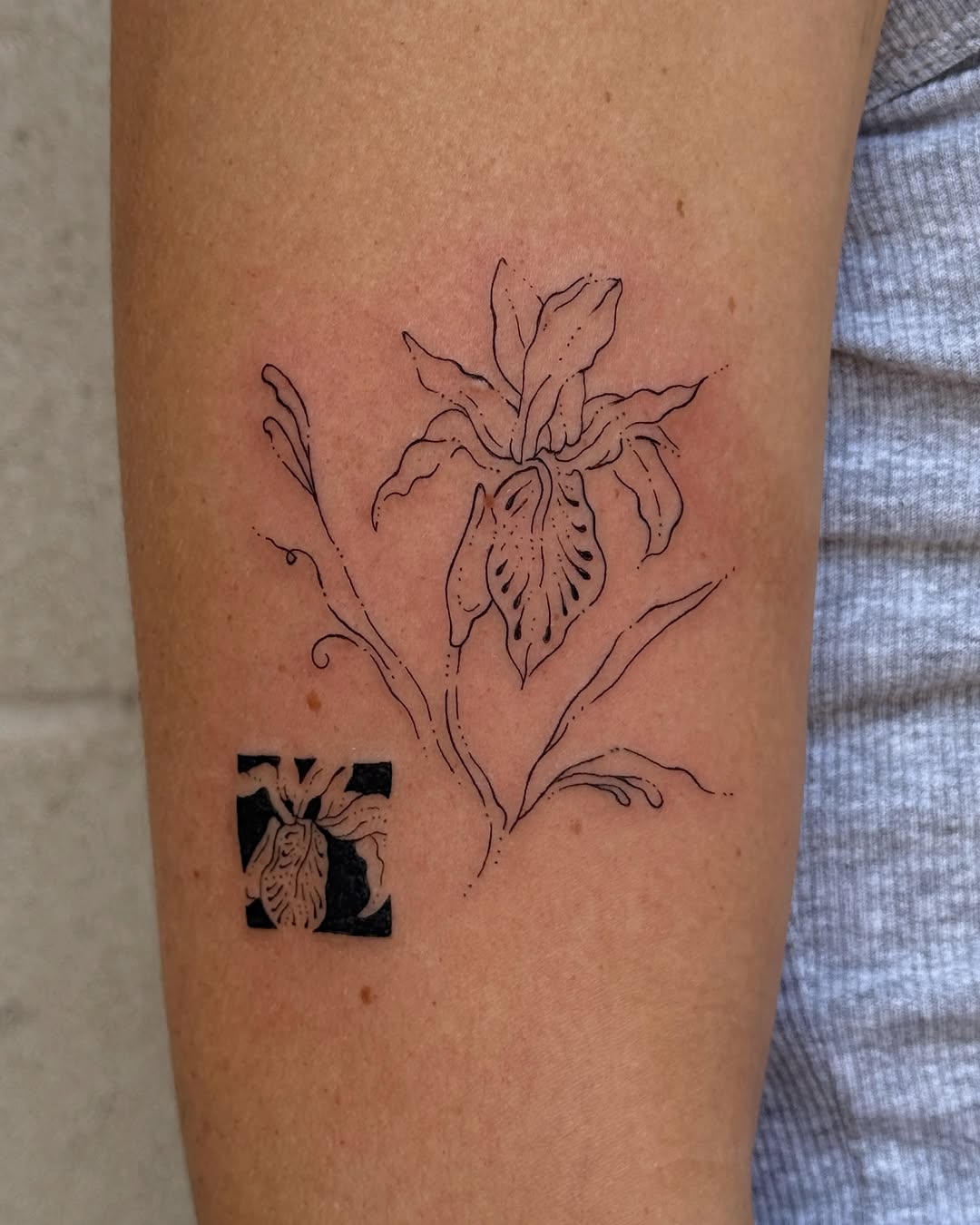 Iris flower with small black square fine line tattoo on the forearm by Inky Apricot, Austin, Texas