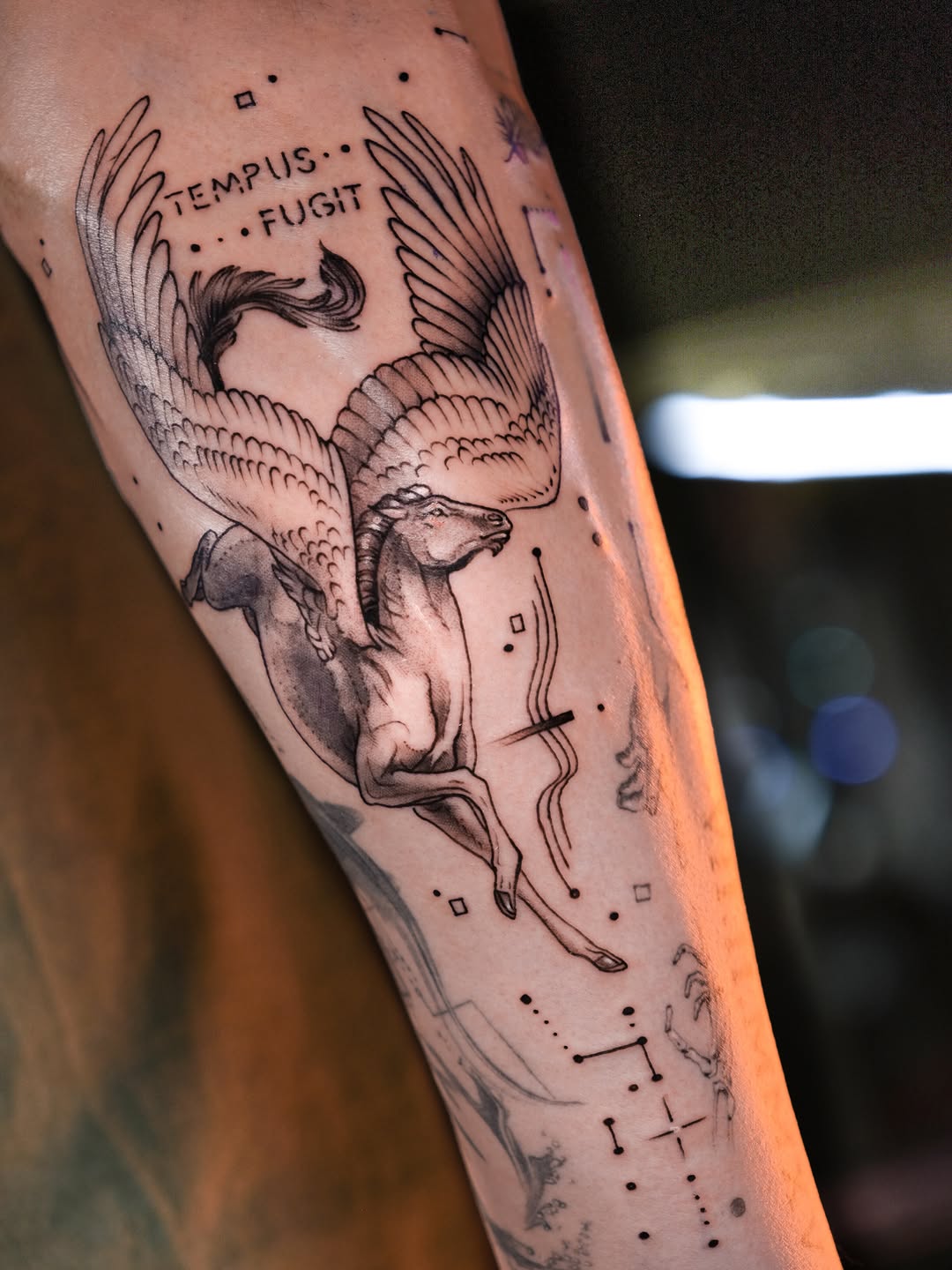 Pegasus with text realism tattoo on the forearm by Tattoo Miami π