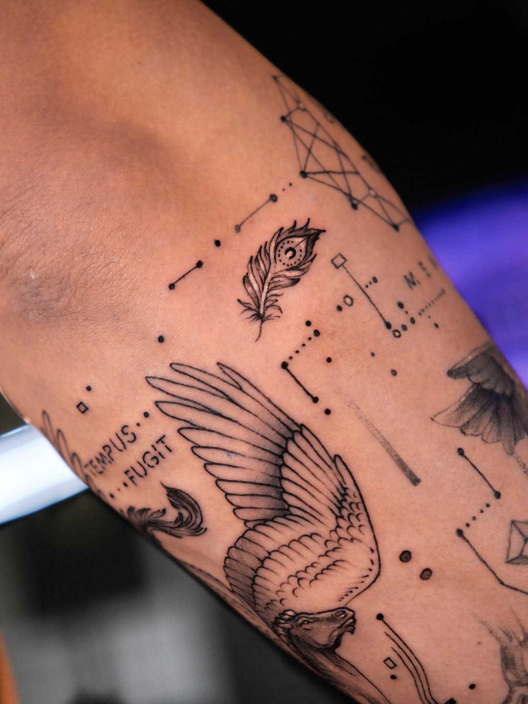 Winged horse with feather and constellations realism tattoo on the forearm by Tattoo Miami π