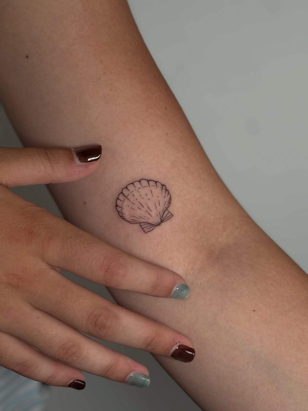 Seashell fine line tattoo on the forearm by Jules Ink ⋆ Fineline Tattoo