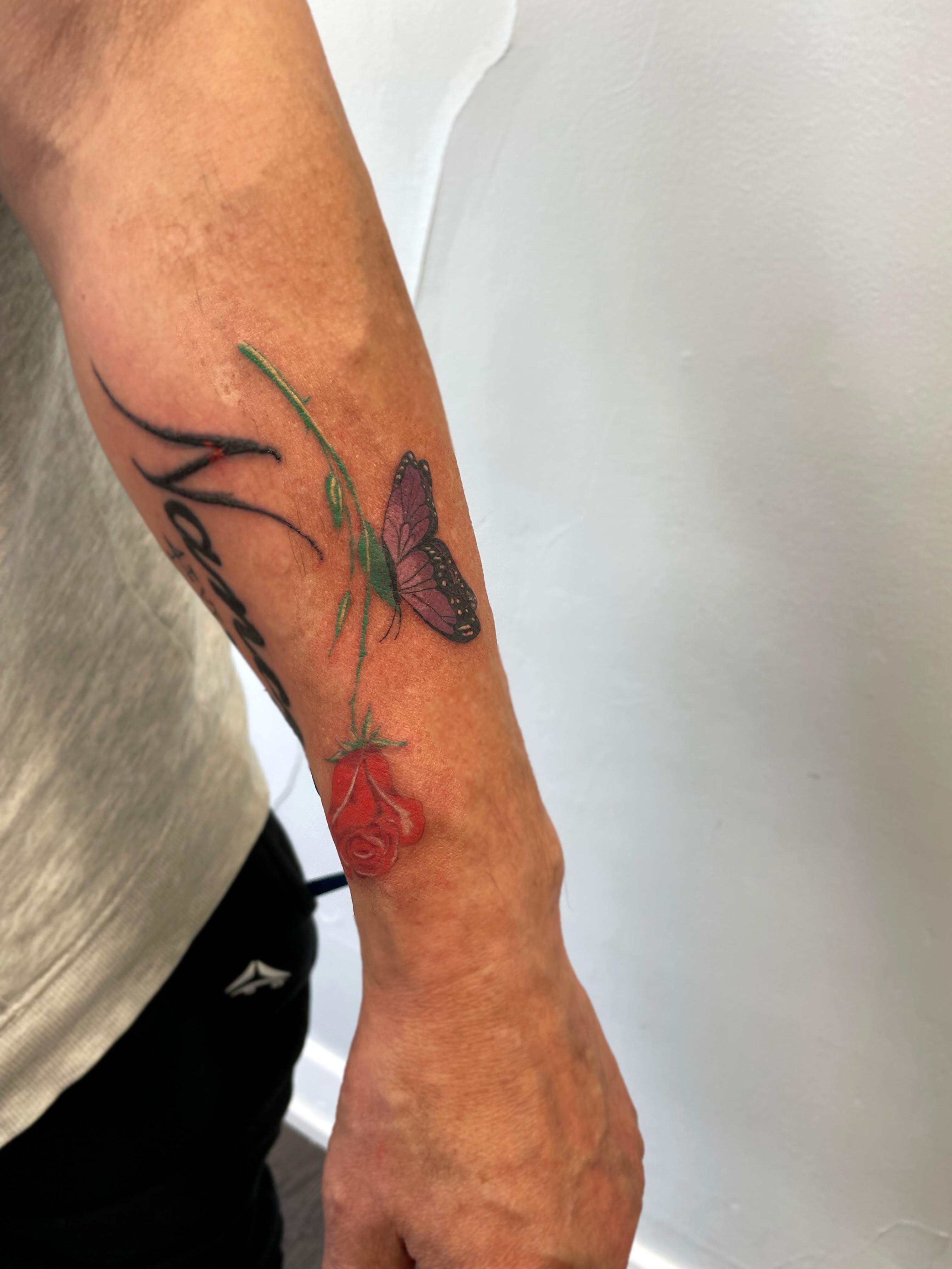 Tattoo by @stephtattoos13 — realism, dotwork