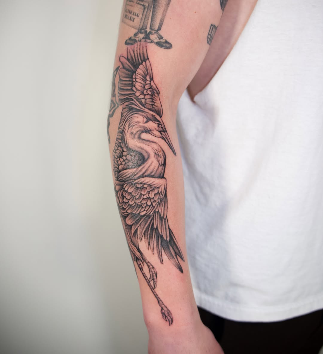 Heron realism tattoo on the forearm by @lovechasetattoo