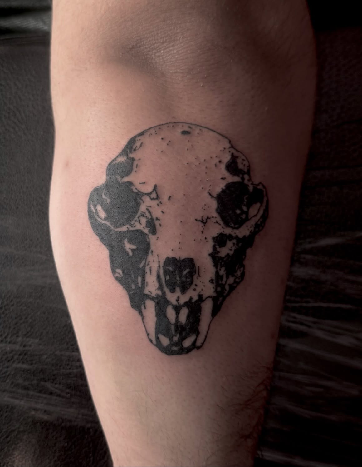 Skull dotwork tattoo on the forearm by Jordan Sandoval
