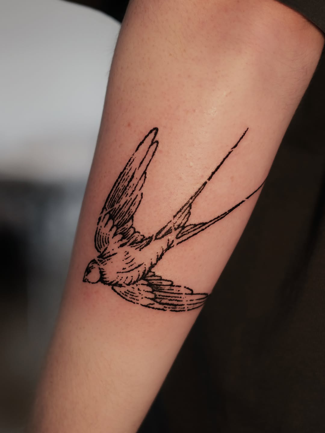 Tattoo by @florawoodcut — fine_line, illustrative