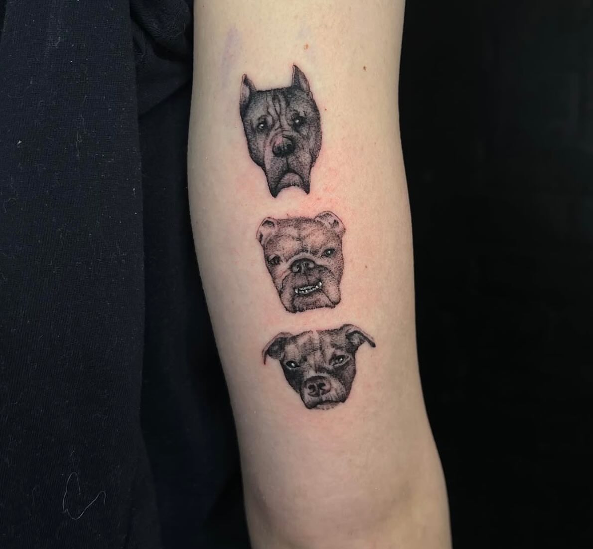 Dog heads realism tattoo on the forearm by Ebony Robinson, Austintown, Ohio