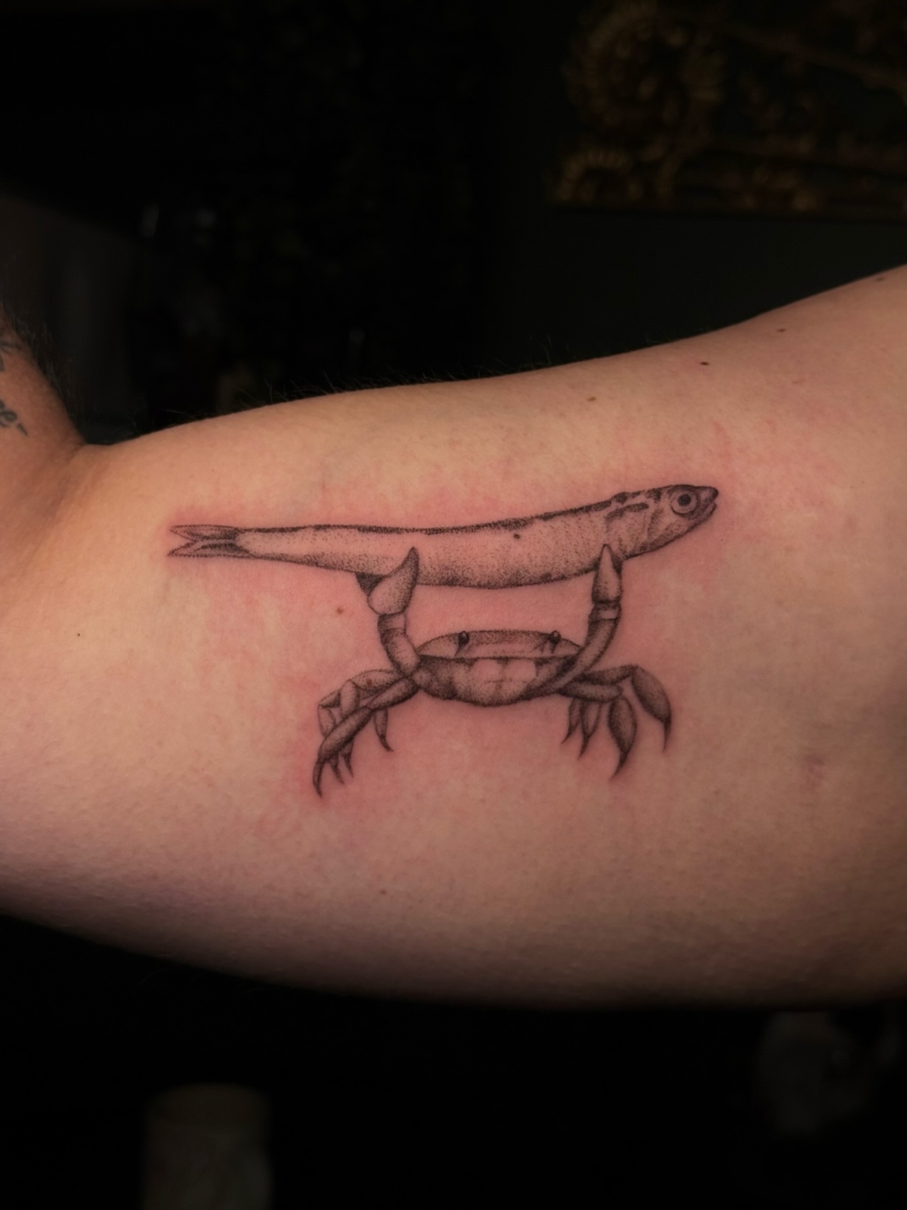 Tattoo by @alyssafazzino — dotwork, realism