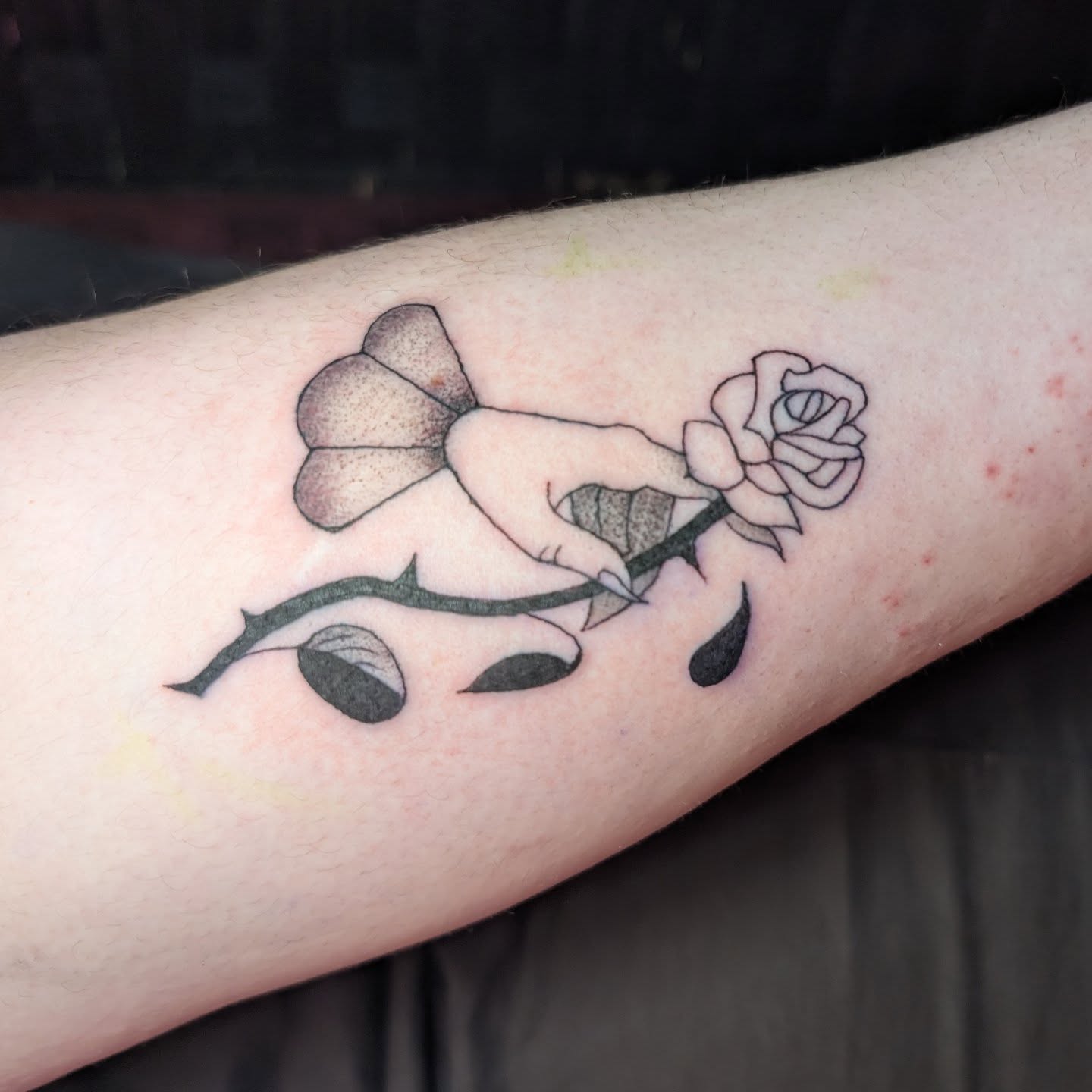 Rose and thorns black and grey tattoo on the forearm by norn noszka
