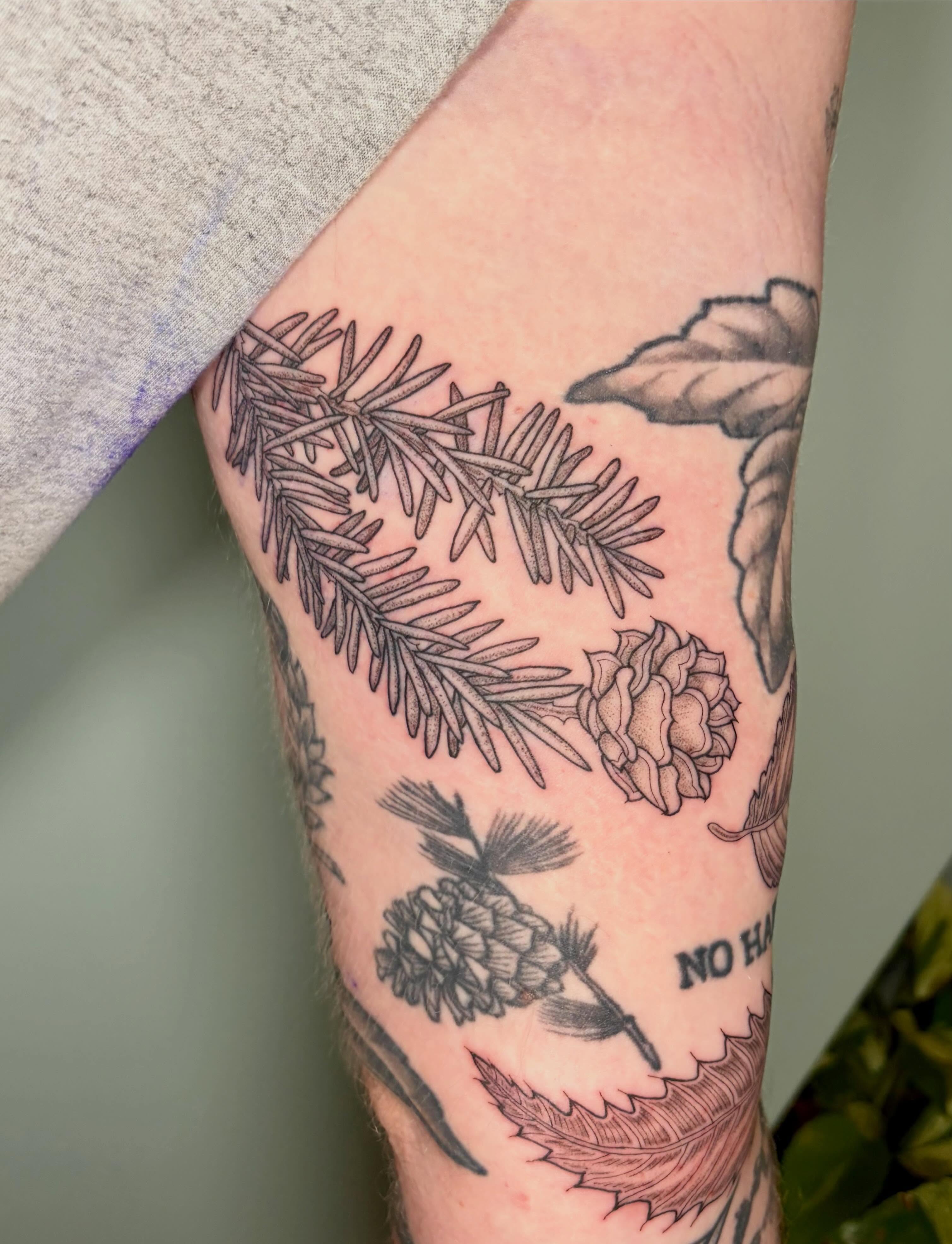 Pine cones and leaves black and grey tattoo on the forearm by Sarah Roach