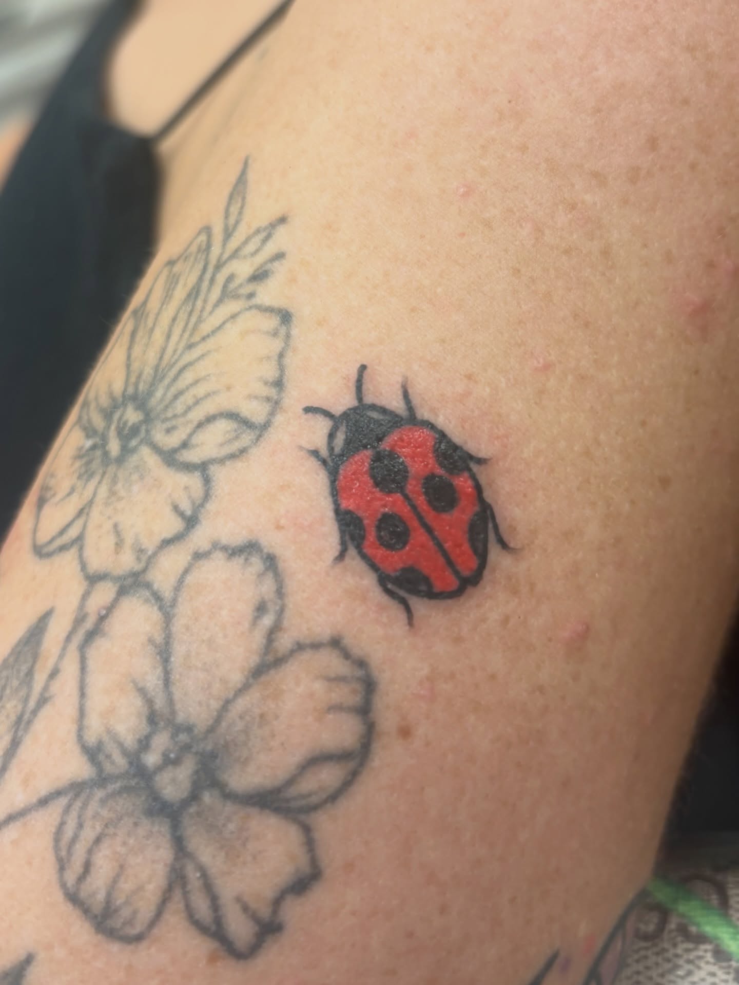 Ladybug dotwork tattoo on the shoulder by Megan