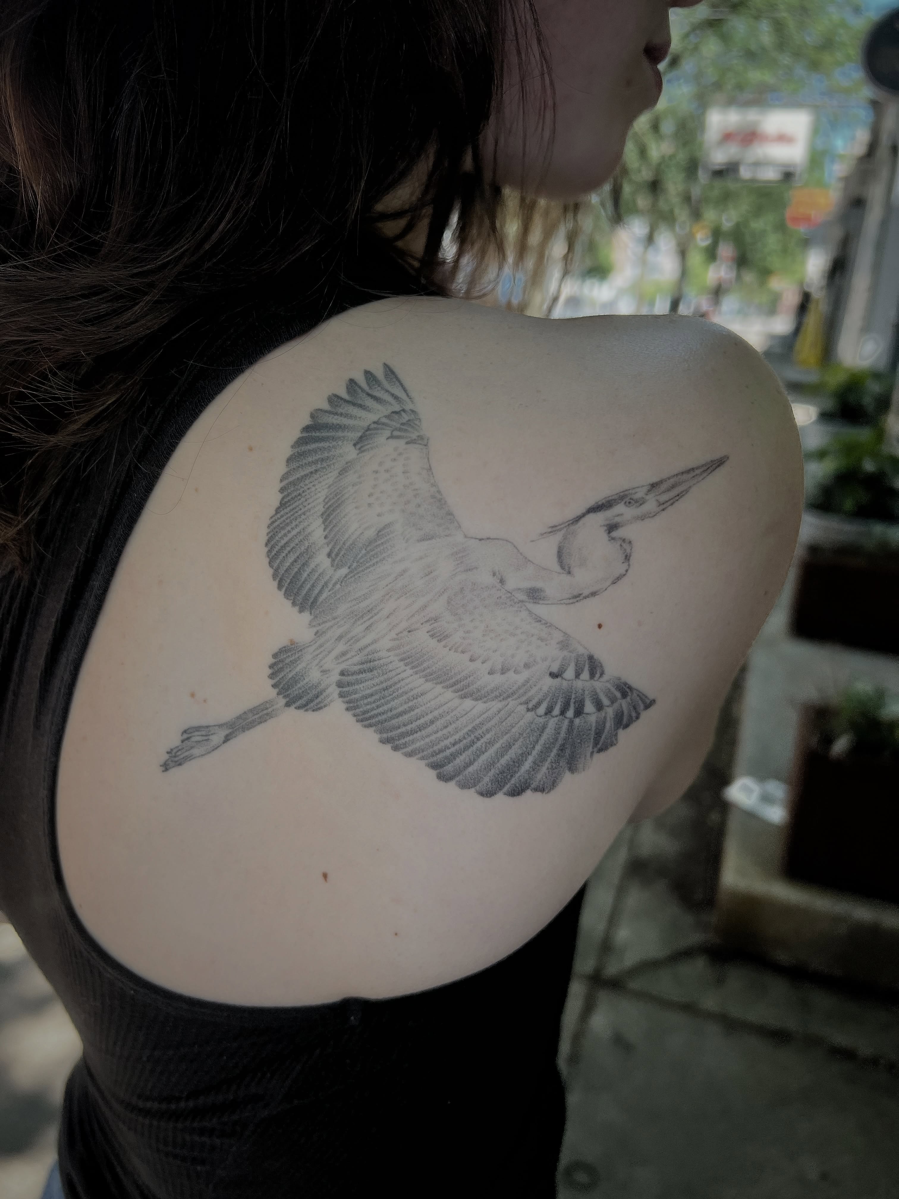 Heron realism tattoo on the shoulder by Jen Rahman