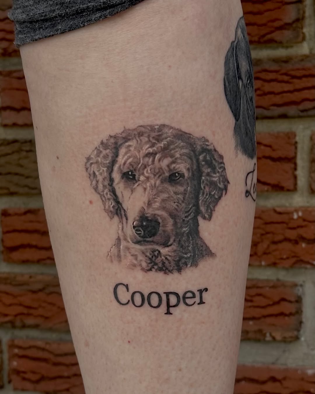 Tattoo by @bogwitchtattoos โ realism, black_and_grey