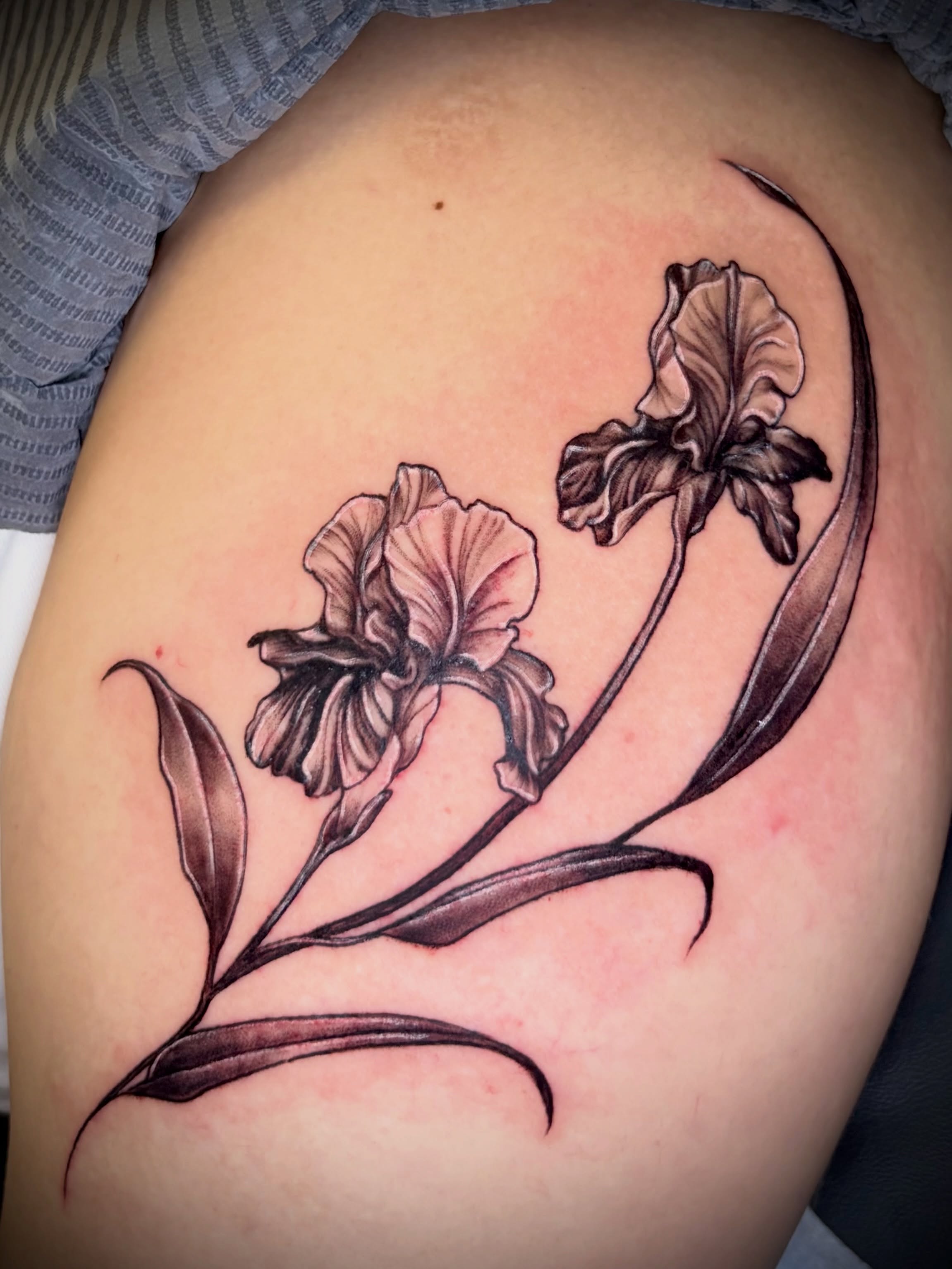 Iris flowers black and grey tattoo on the shoulder by Ali Stanley, Virginia Beach, Virginia