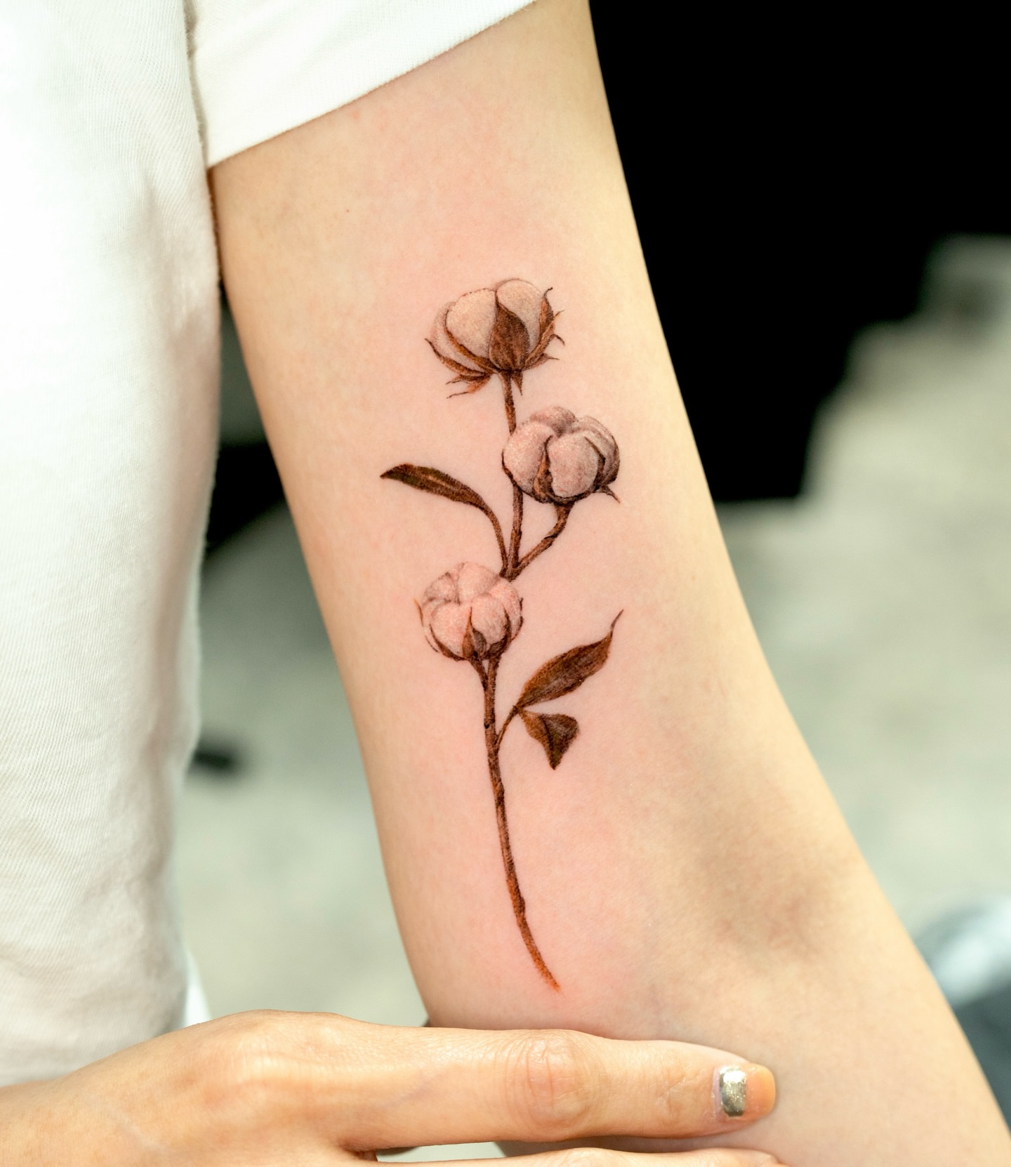 Cotton plant realism tattoo on the forearm by ⟡ 𝙶𝙰𝙾𝙽 ⟡ 제주타투 가온 Jejutattoo