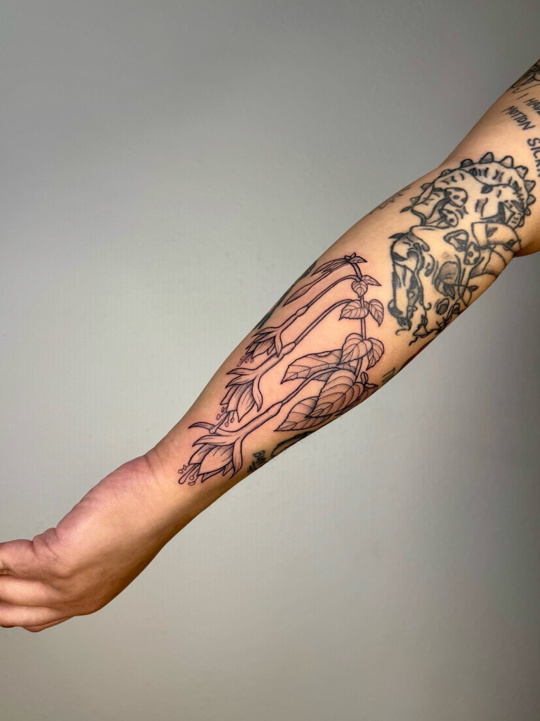 Tattoo by @shan_tattoos — black_and_grey
