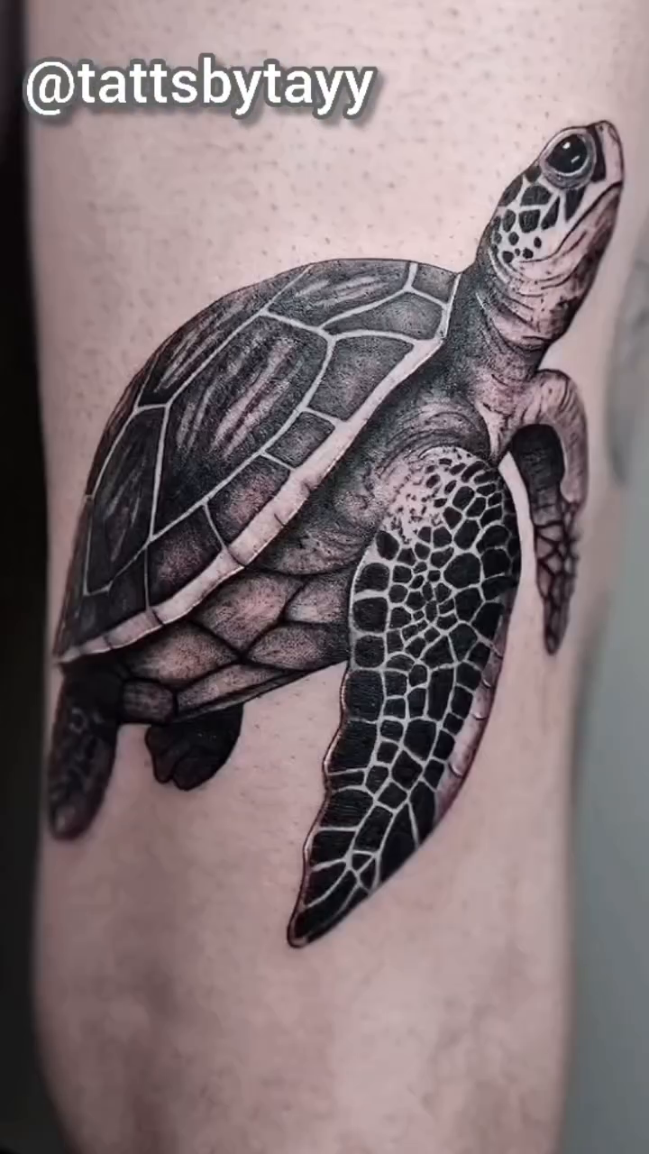 Sea turtle tattoo fine line tattoo on the upper arm by TaylorLeighShermanTattoos OFFICIAL